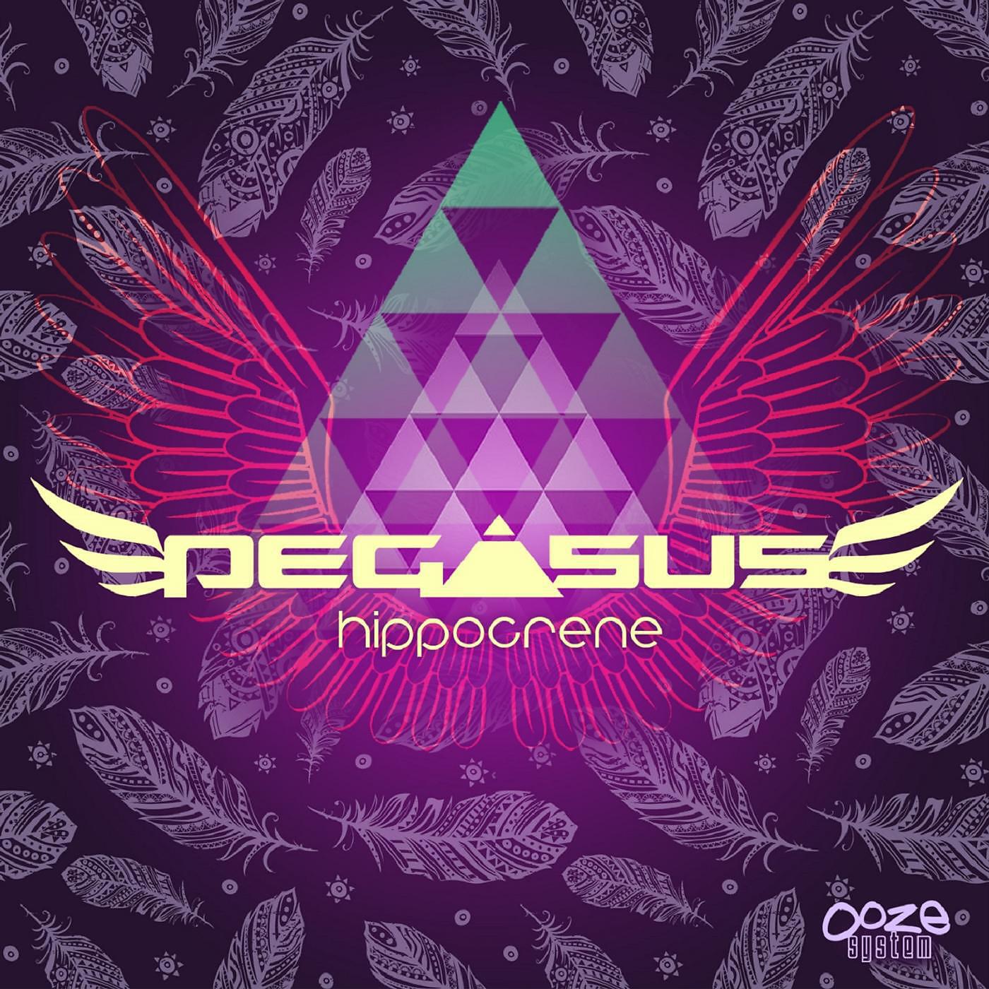Pega5u5 - Temporary Love (Champagne Drip Remix)