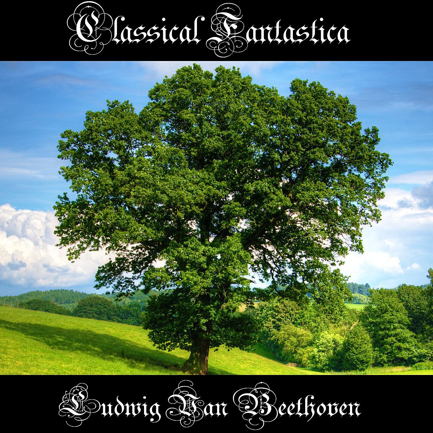 Ludwig Van Beethoven - Symphony No- 1 in C Major, Op- 21 II- Andante cantabile con moto