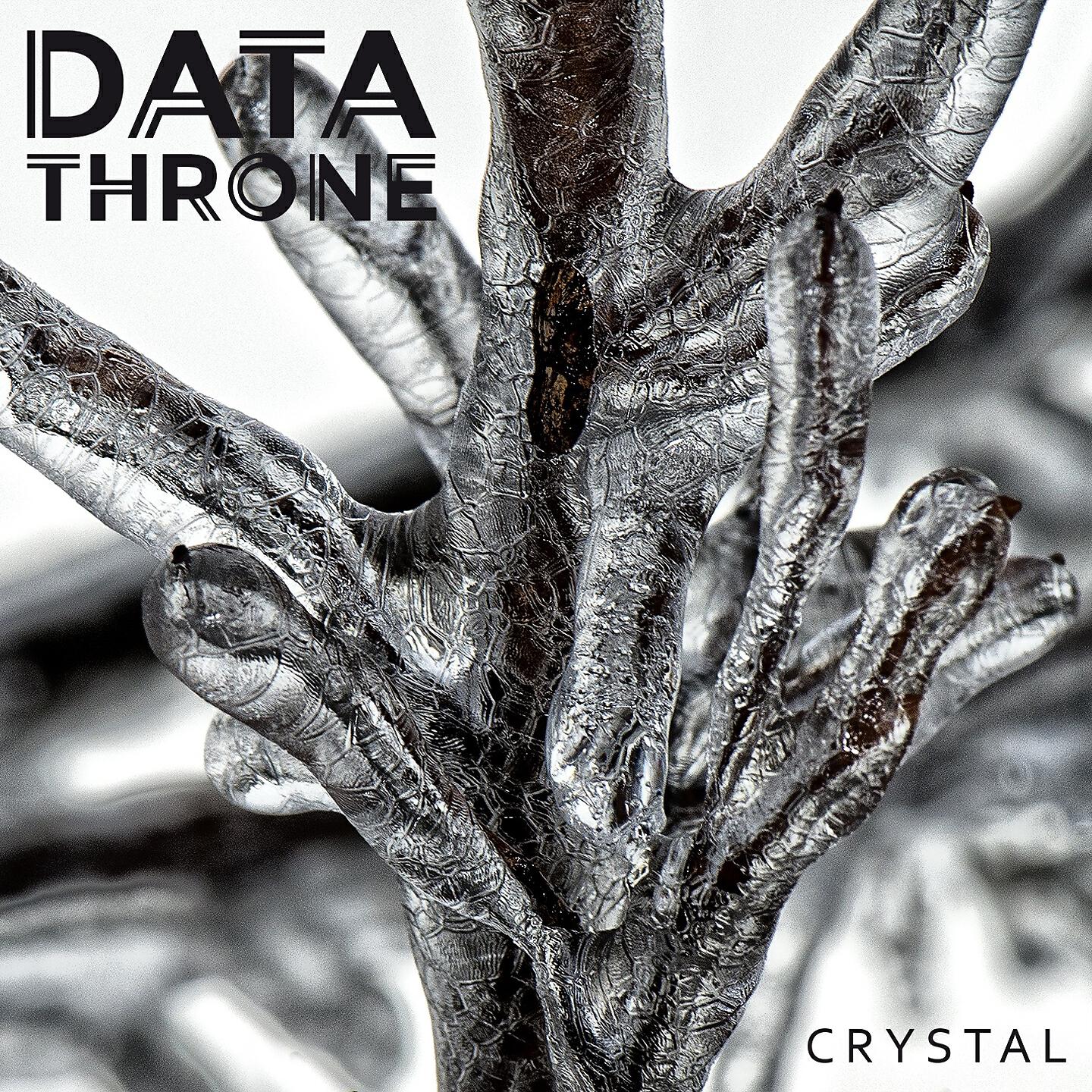 Data Throne - Bold Pomegranates