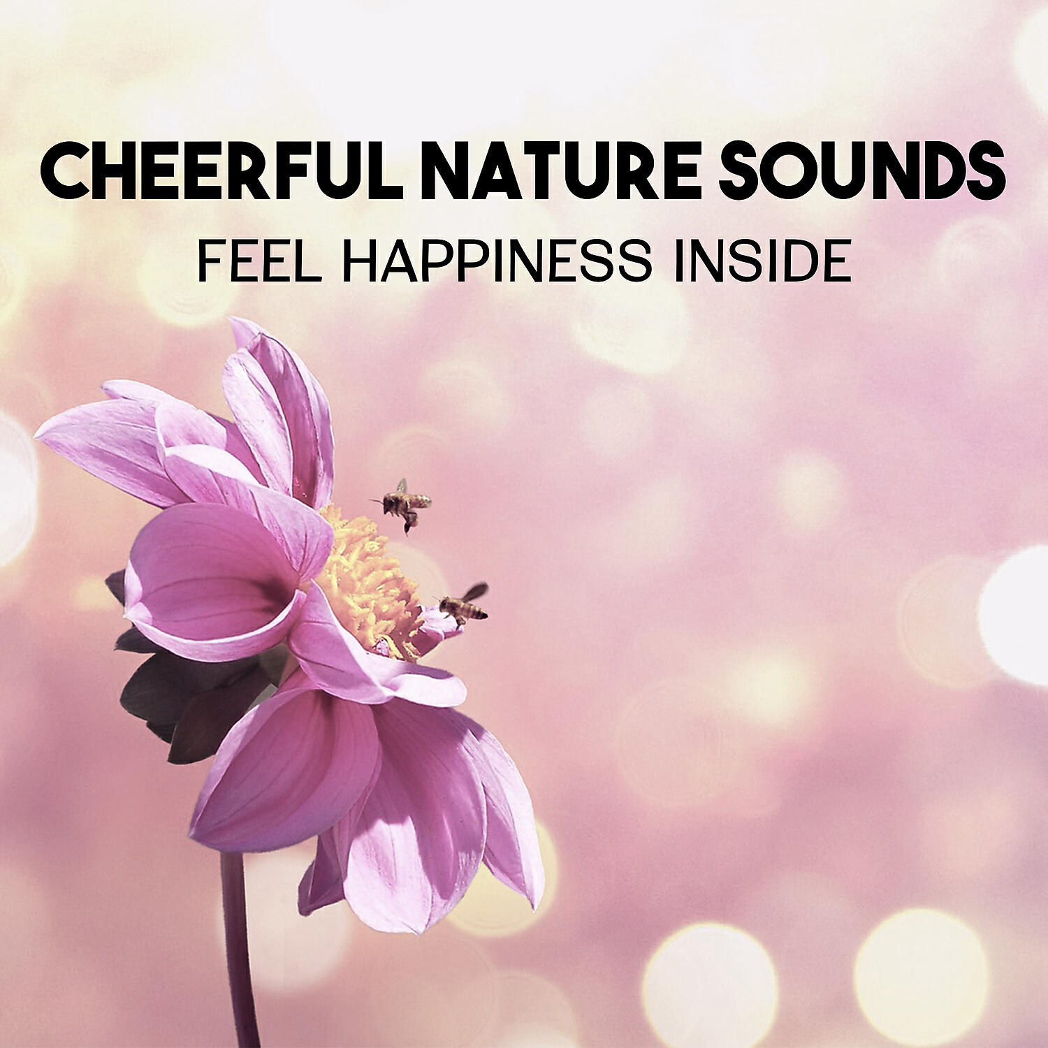 Positive Energy Academy - Zen Enlightenment
