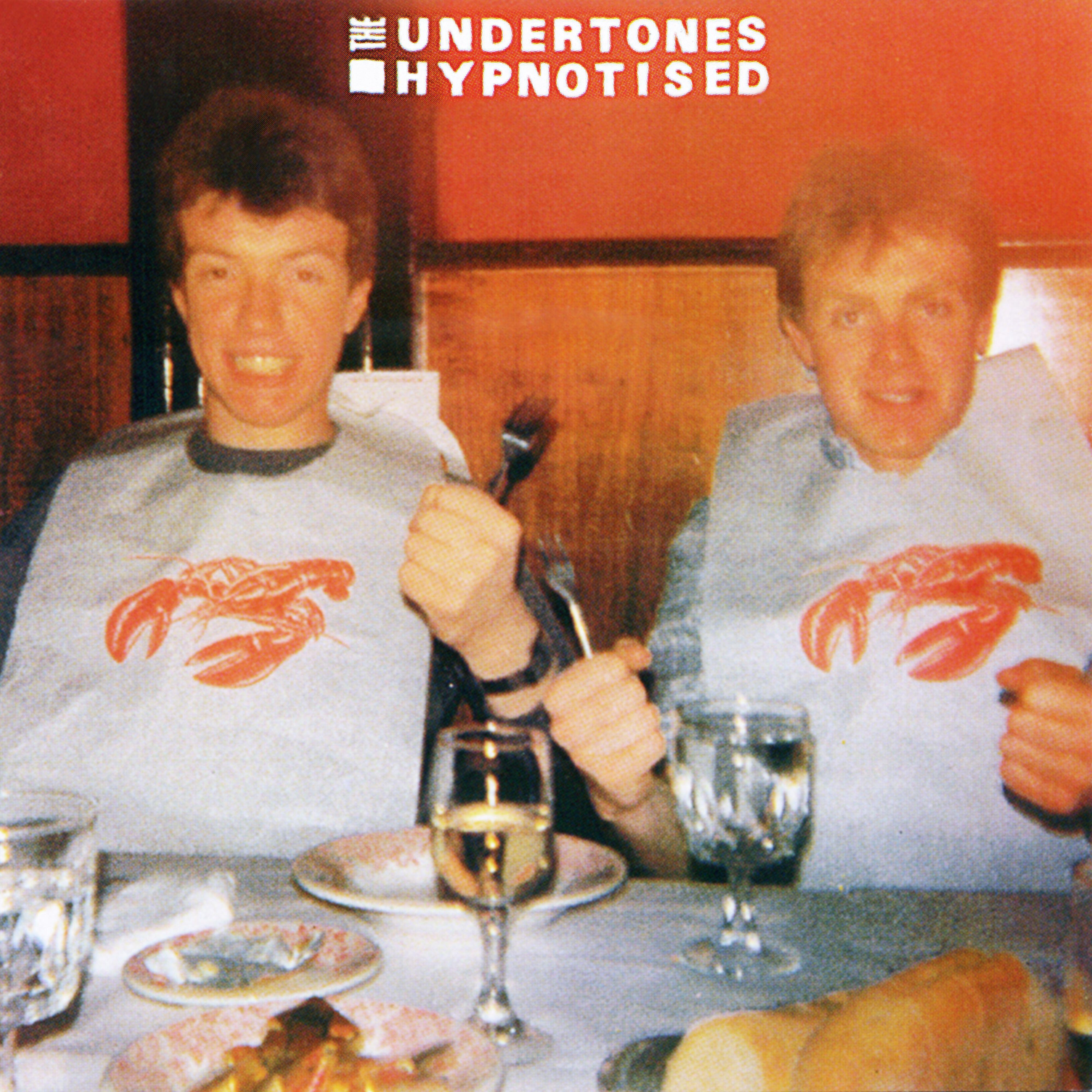 The Undertones - I Don't Wanna See (You Again)