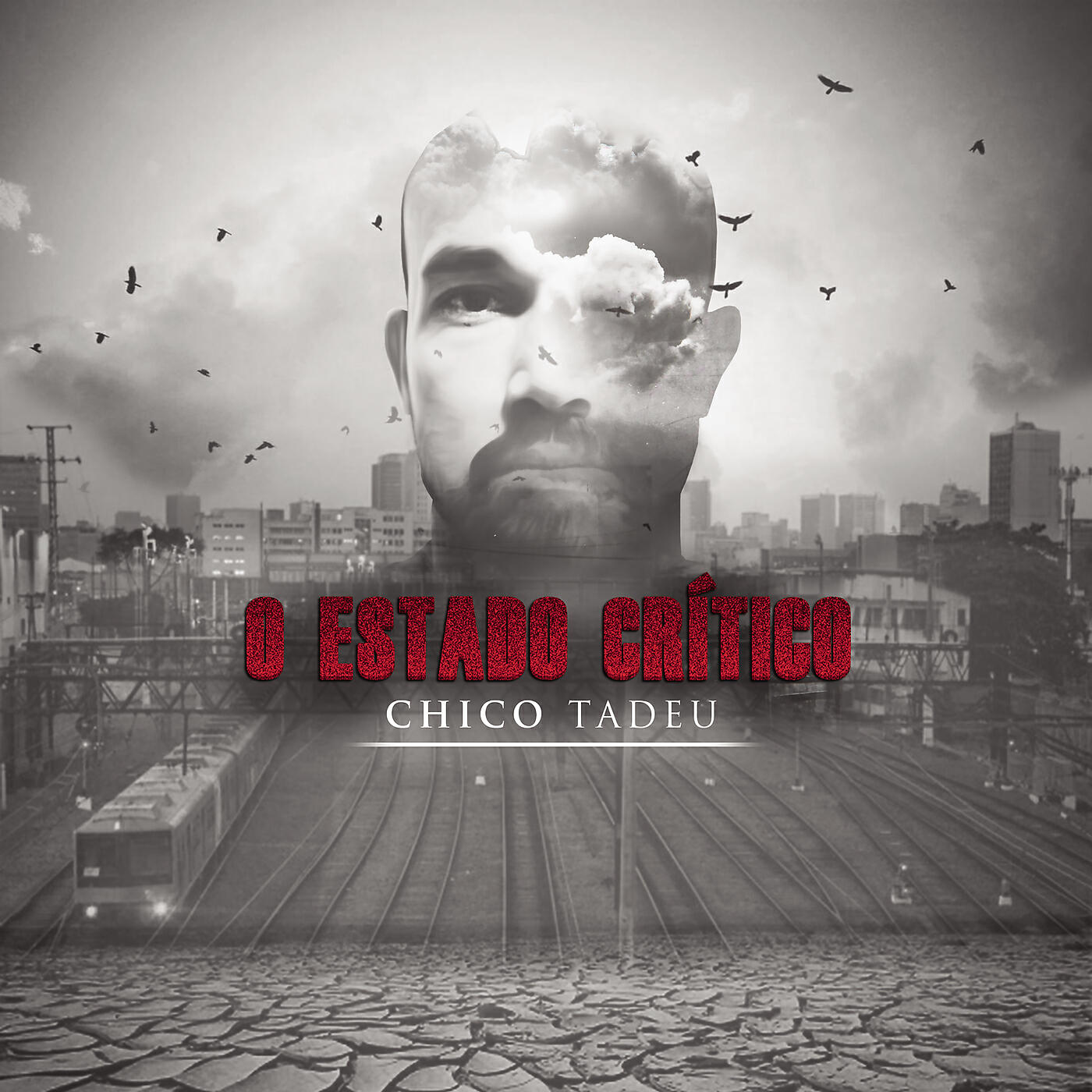 Chico Tadeu - Ahimsa