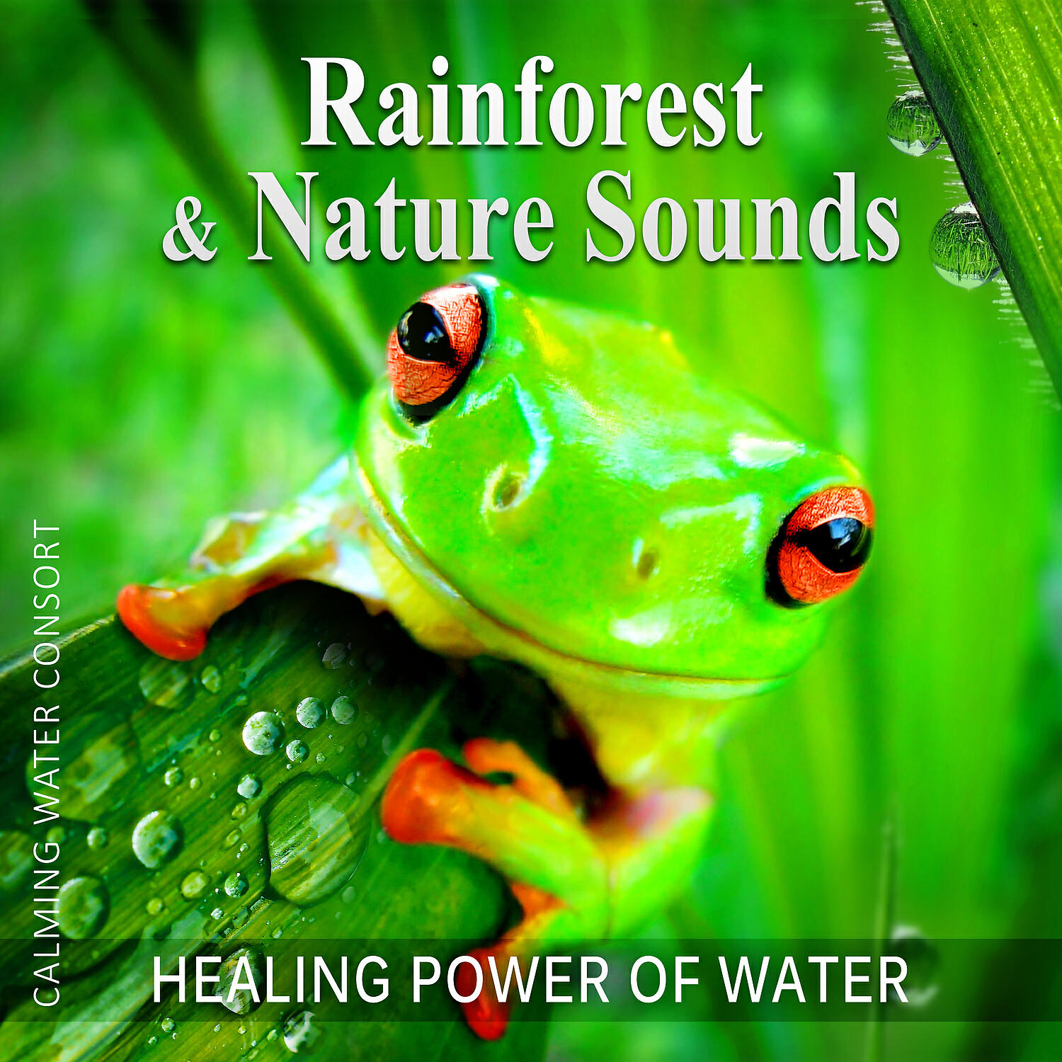 Calming Water Consort - Gentle Soft Rainfall – Tibetan Bowl