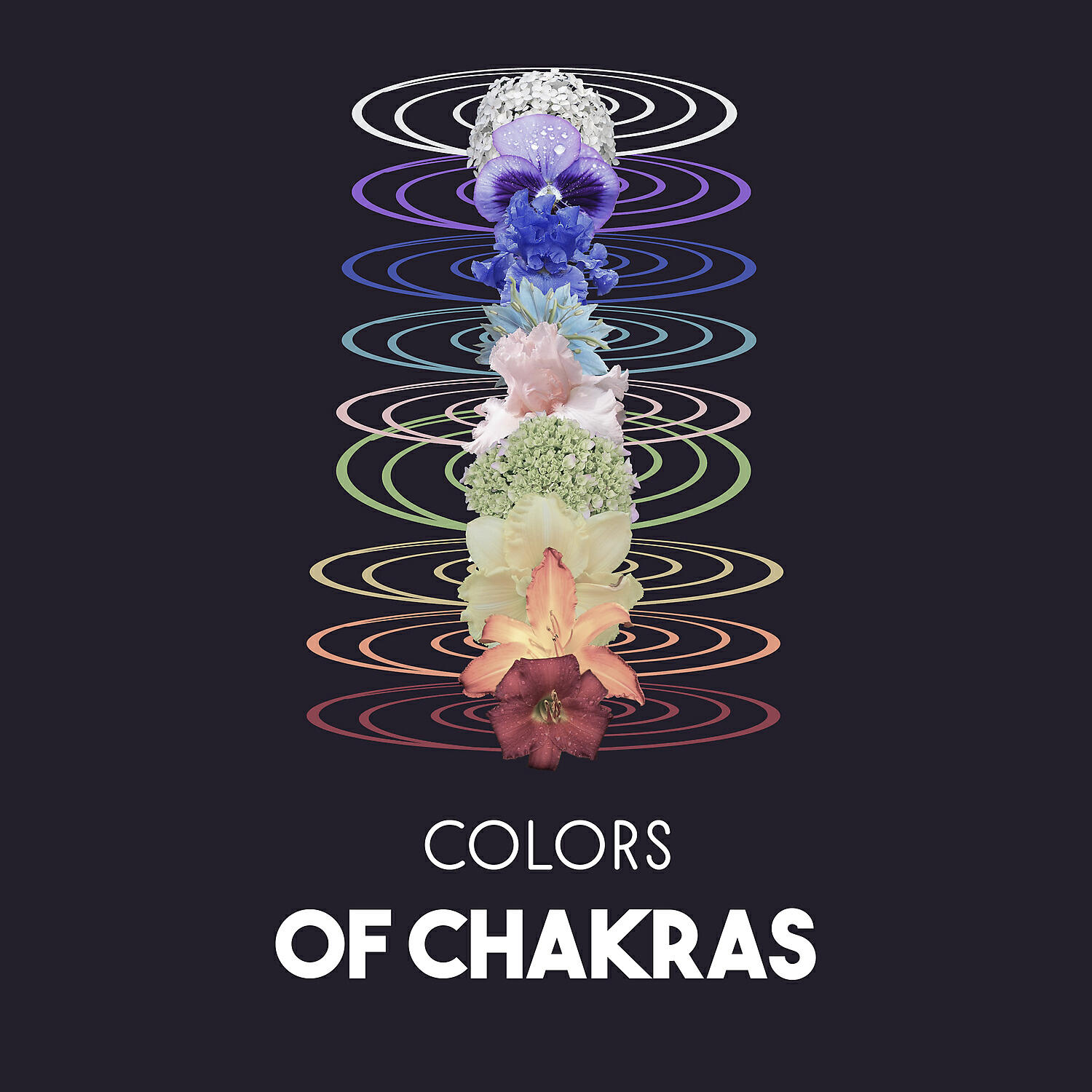 Opening Chakras Sanctuary - Harmony of Seven Chakras