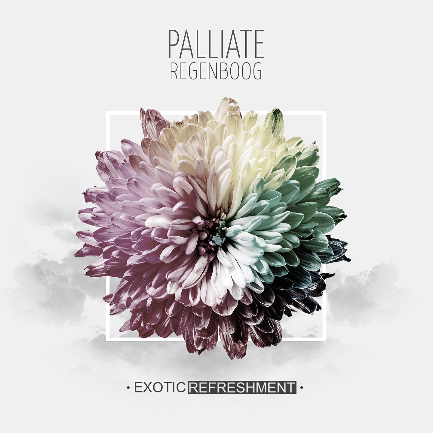 PALLIATE - Regenboog (Severin Su Remix)