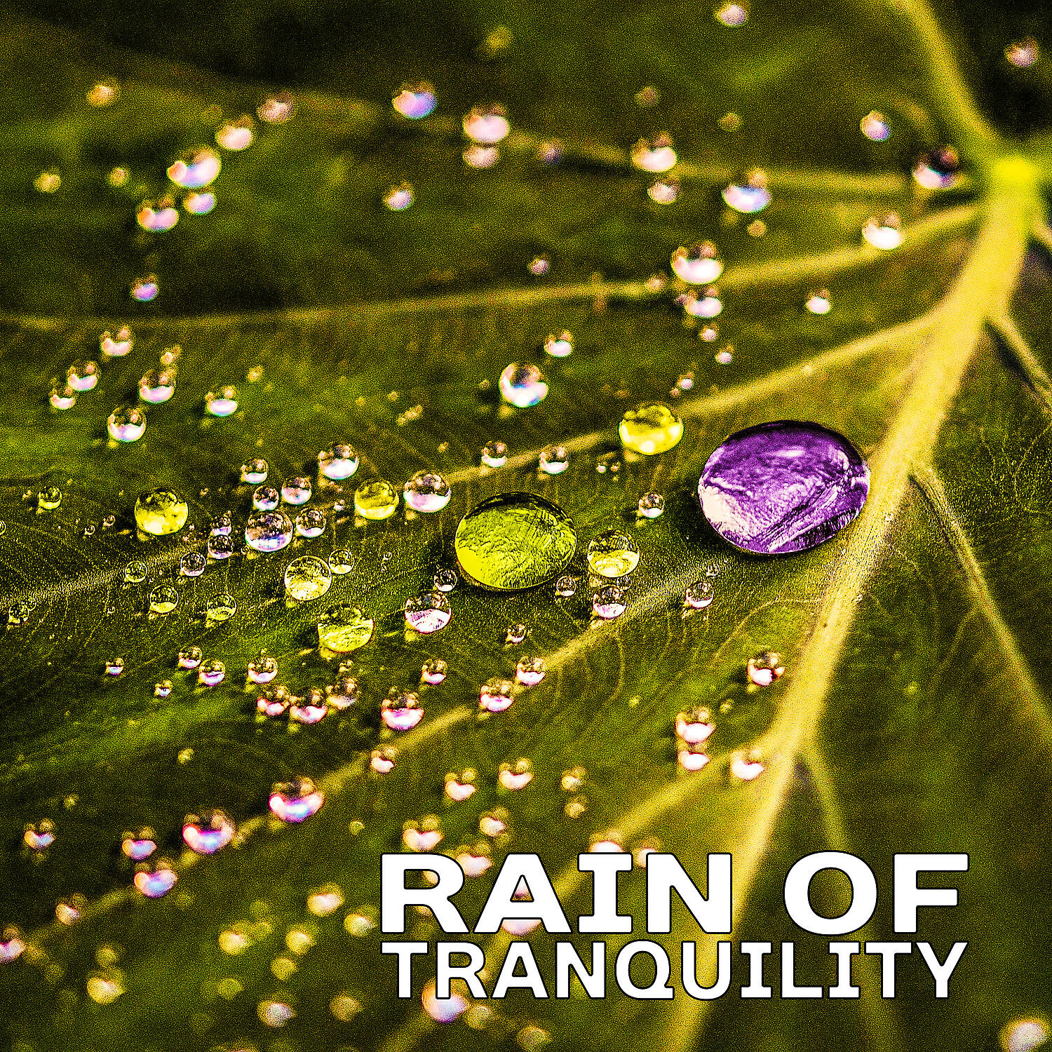 Healing Rain Sound Academy - Healing Zen Rain