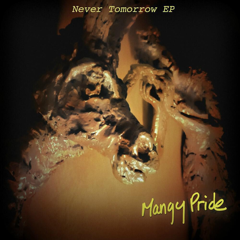 Mangy Pride - Reincarnation Blues