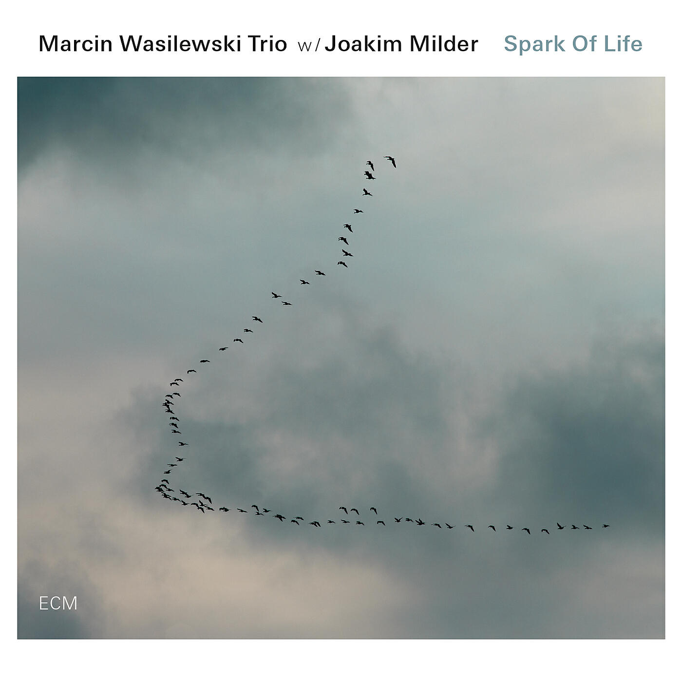 Marcin Wasilewski Trio - Actual Proof