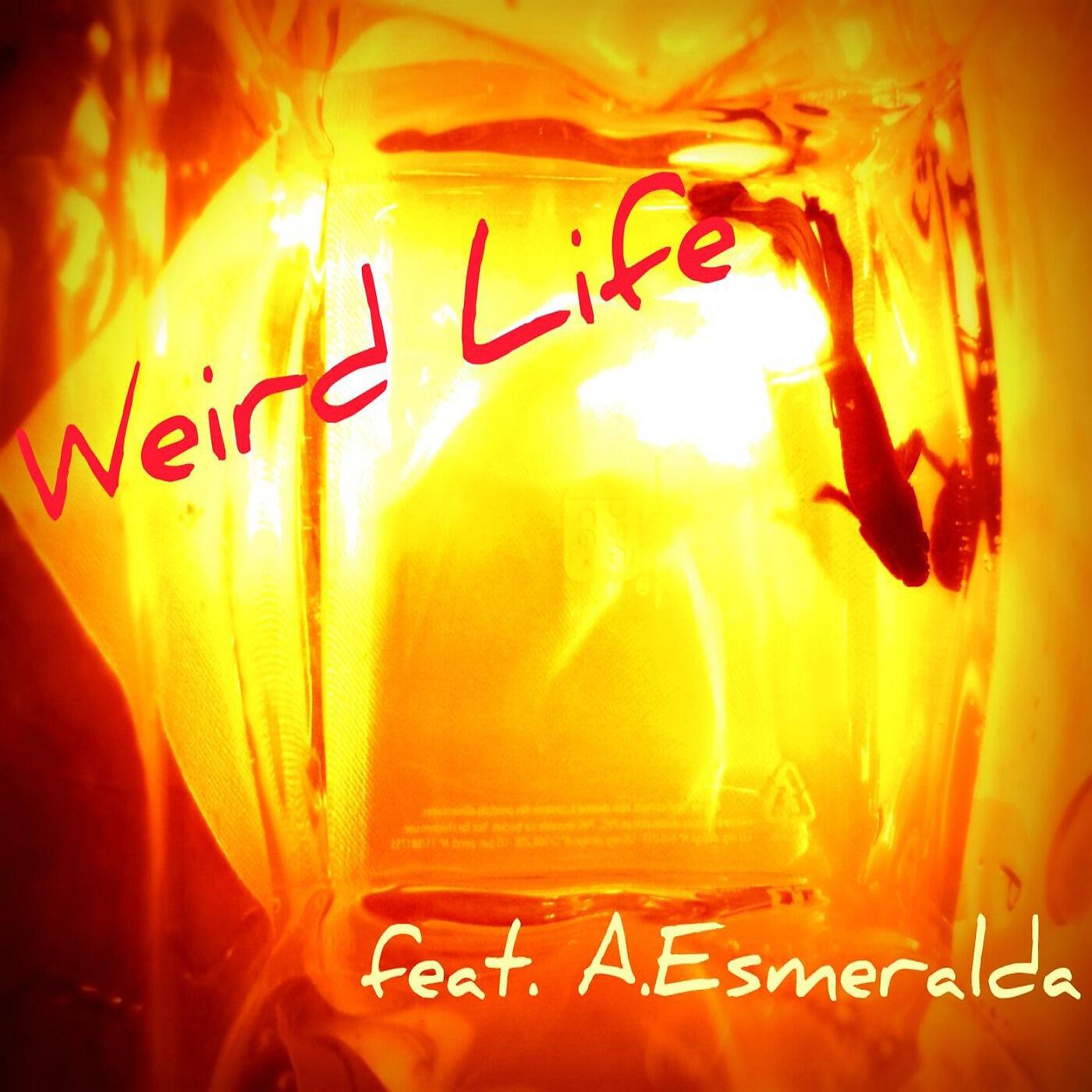 FQP - Weird Life  (feat. Angela Esmeralda)