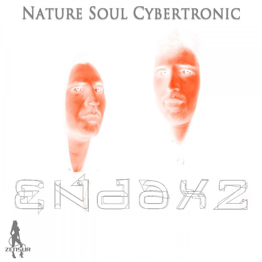 Nature Soul Cybertronic - Under Rain