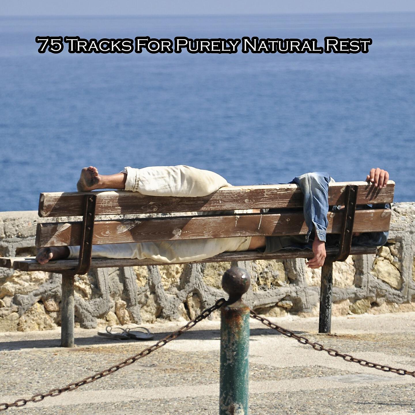 Deep Sleep Relaxation - Chiming Rain Drops