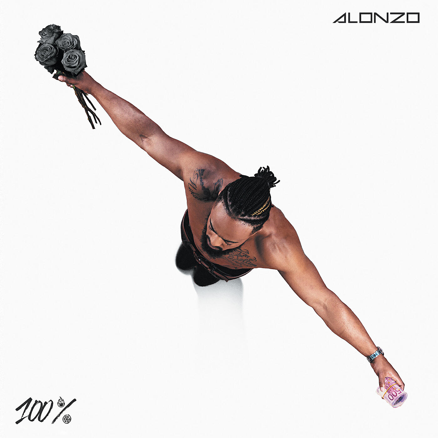 ALONZO - Terrain
