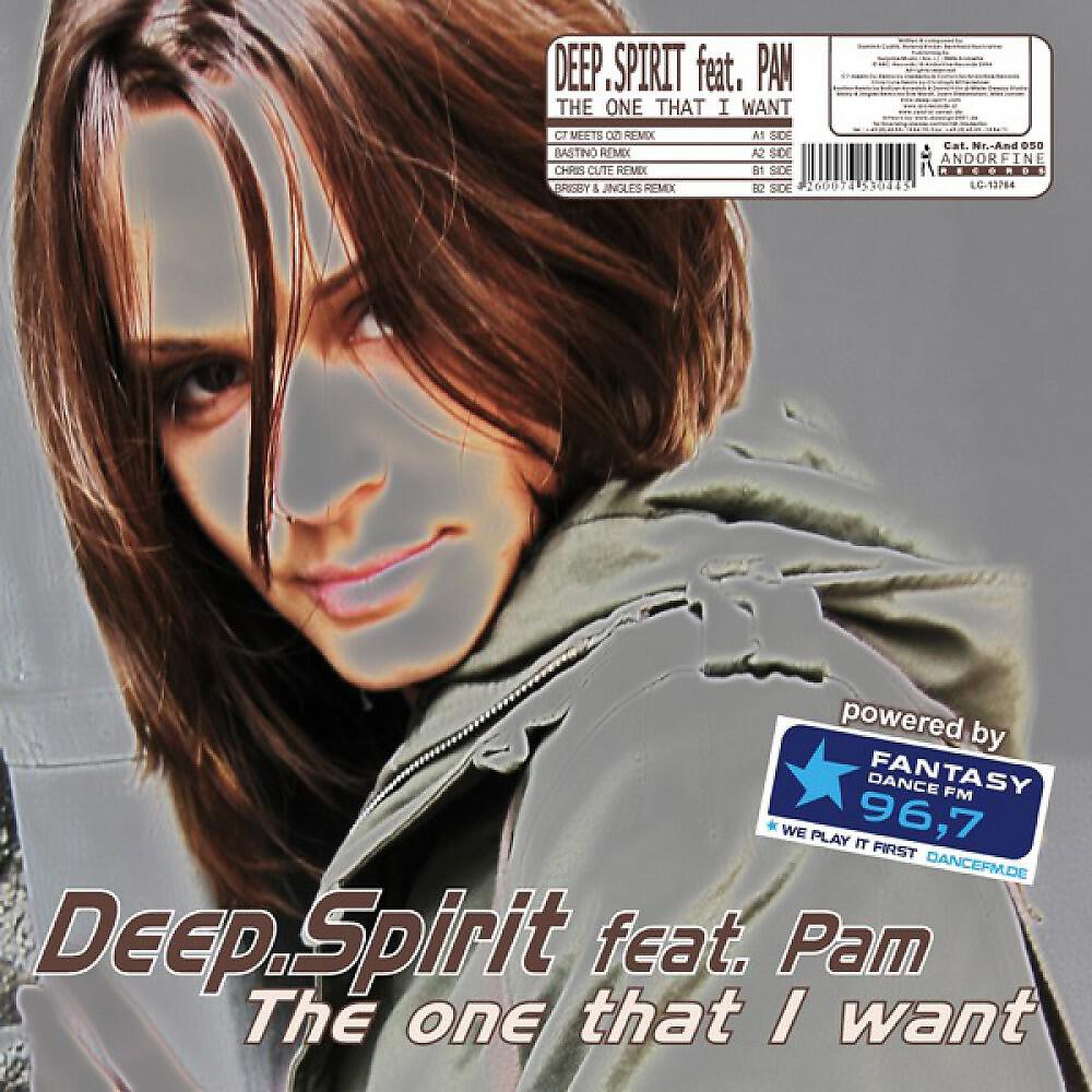 DEEP.SPIRIT - The One That I Want (Brisby & Jingles Remix)