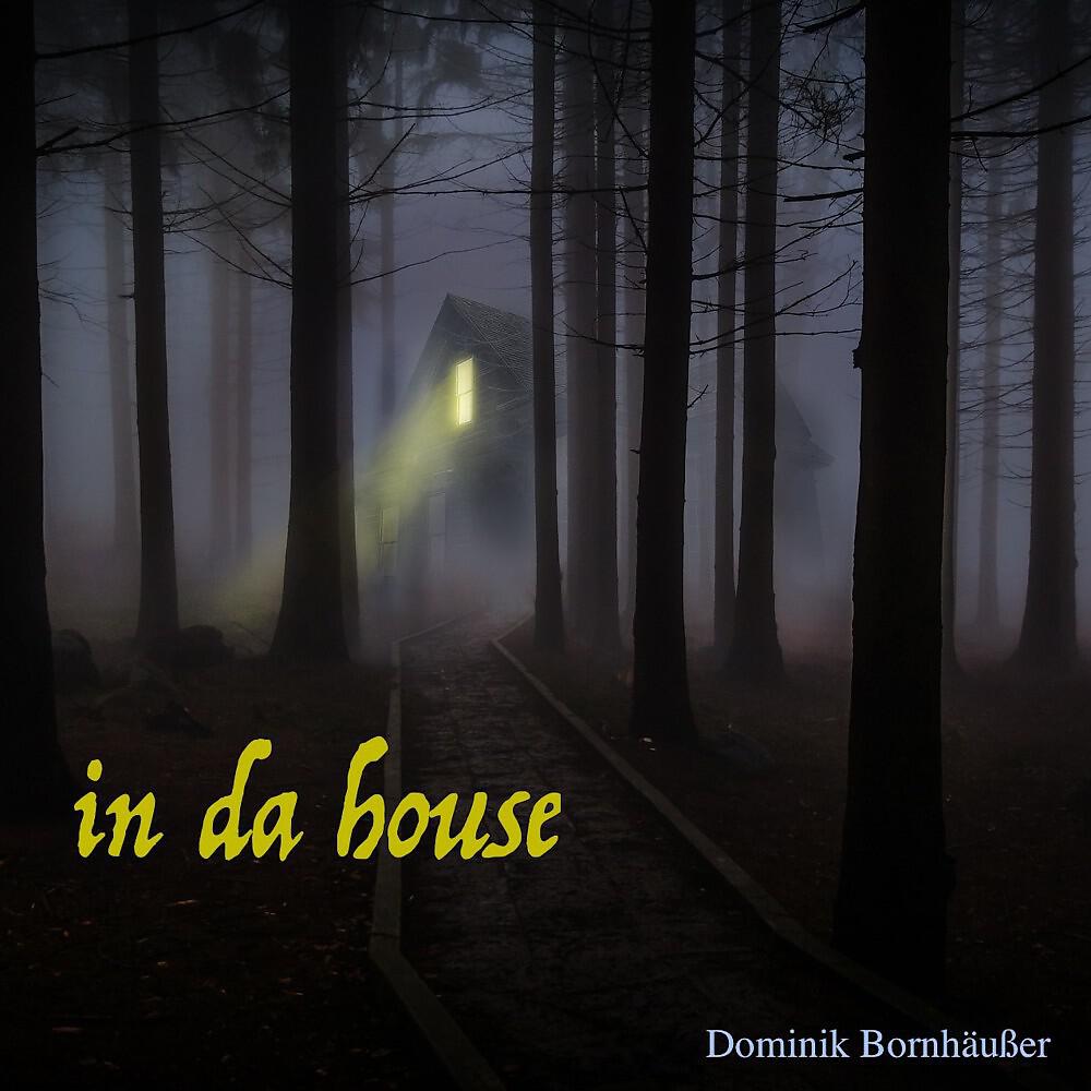 Dominik Bornhäußer - In da House