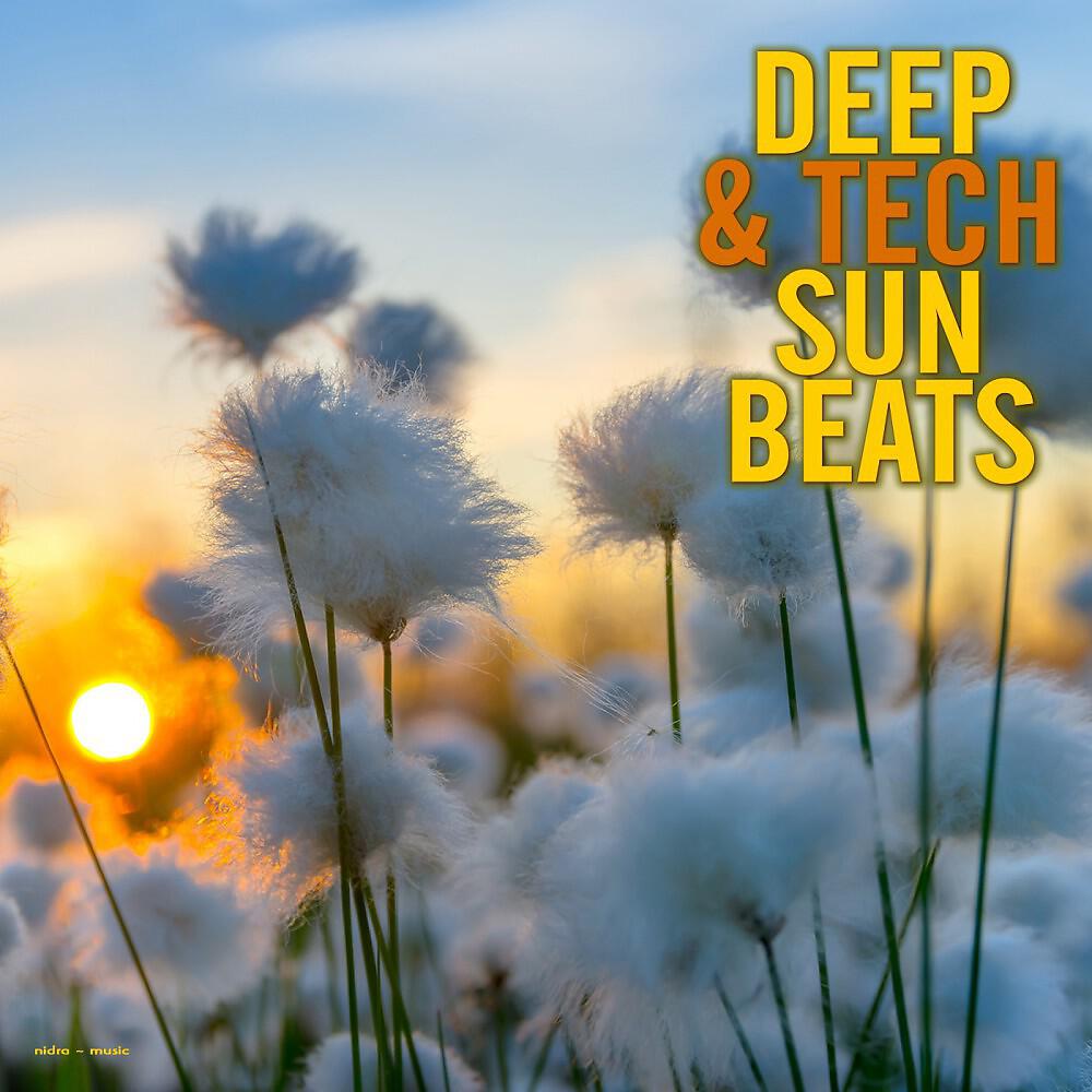 Sixteenth Pulse - Ba Slim Jim (Christian Hornbostel Dub)