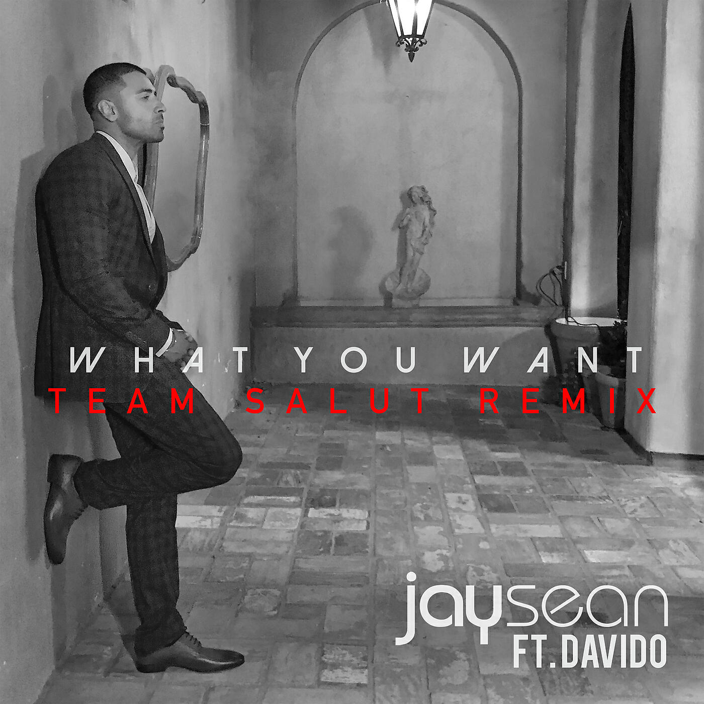 Jay Sean - What You Want (Team Salut Remix)