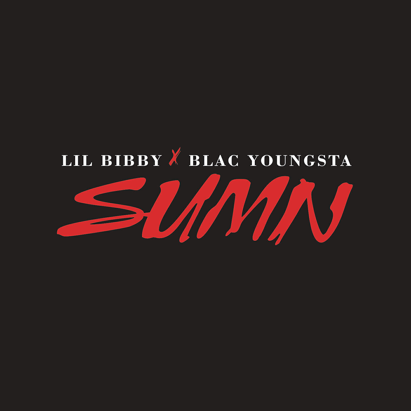 Blac Youngsta - Sumn