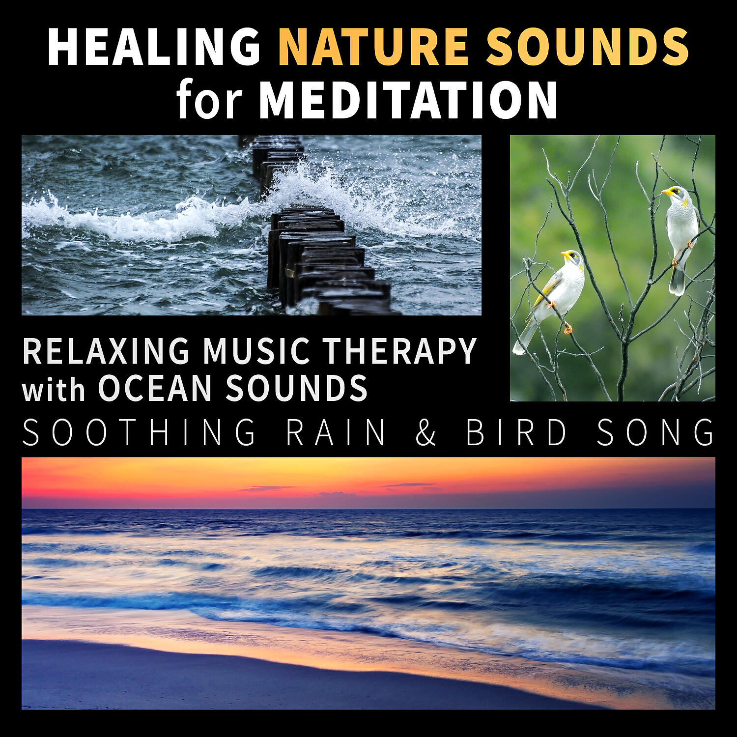 Healing Power Natural Sounds Oasis - Meditaiton & Healing: Forest Sounds with Bird Calls