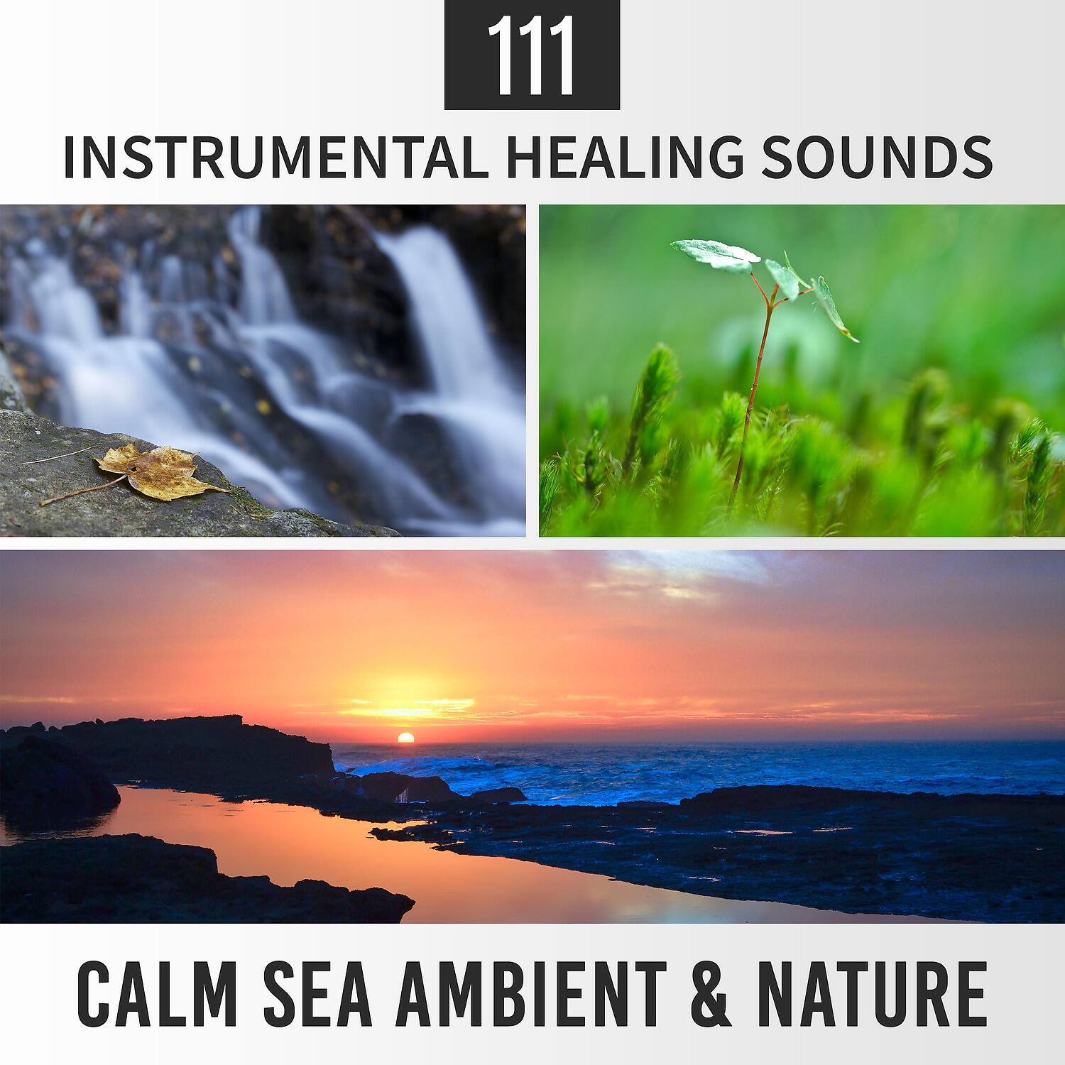Healing Rain Sound Academy - Fight Insomnia with Healing Sounds of Nature