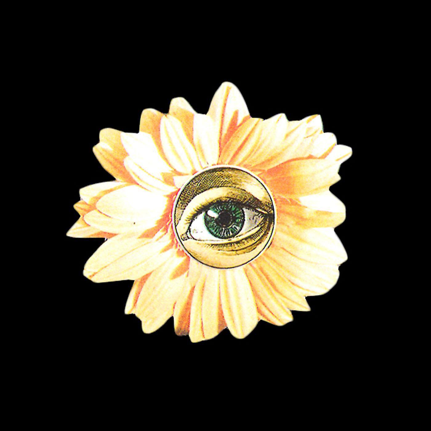 Tu otra bonita - Ángulo muerto