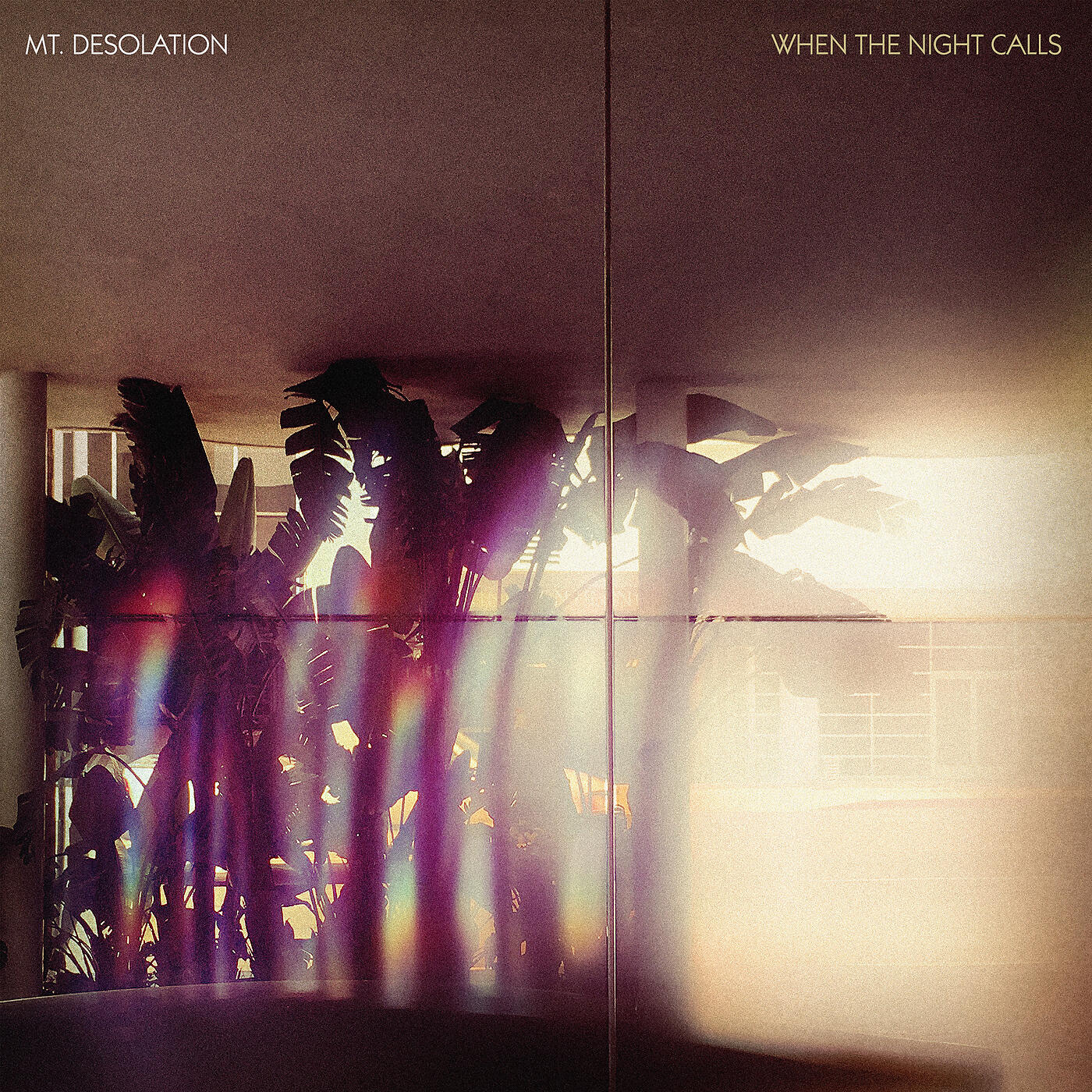 Mt. Desolation - Valentine