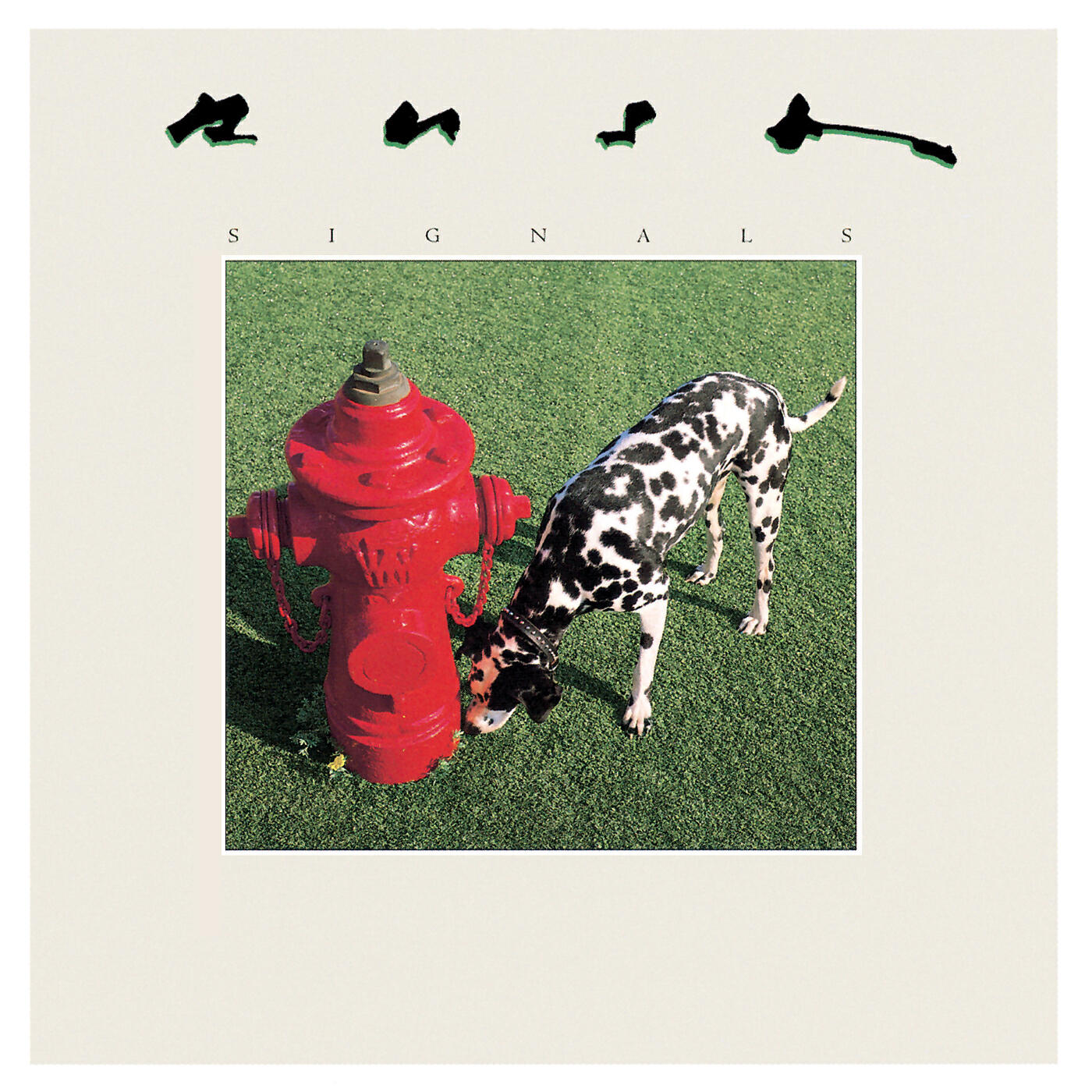 Rush - The Analog Kid