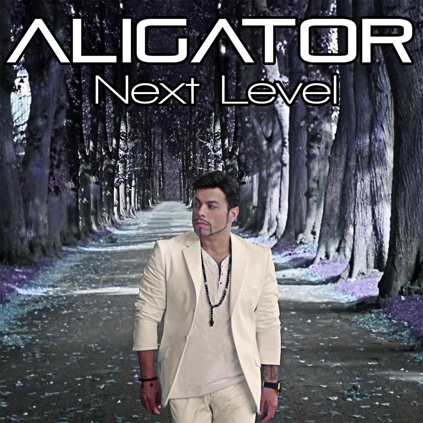 DJ Aligator - The Perfect Match