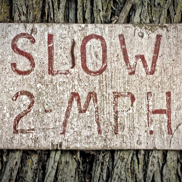 Michael Wall - Slow 4