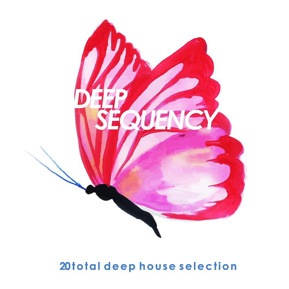 Pascal York - Next in Time (Deephouse Mix)