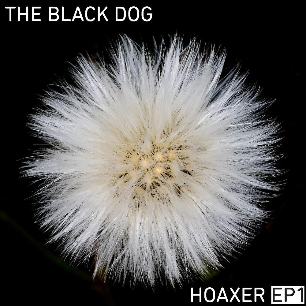 The Black Dog - We Must Repeat (Fake News RMX)