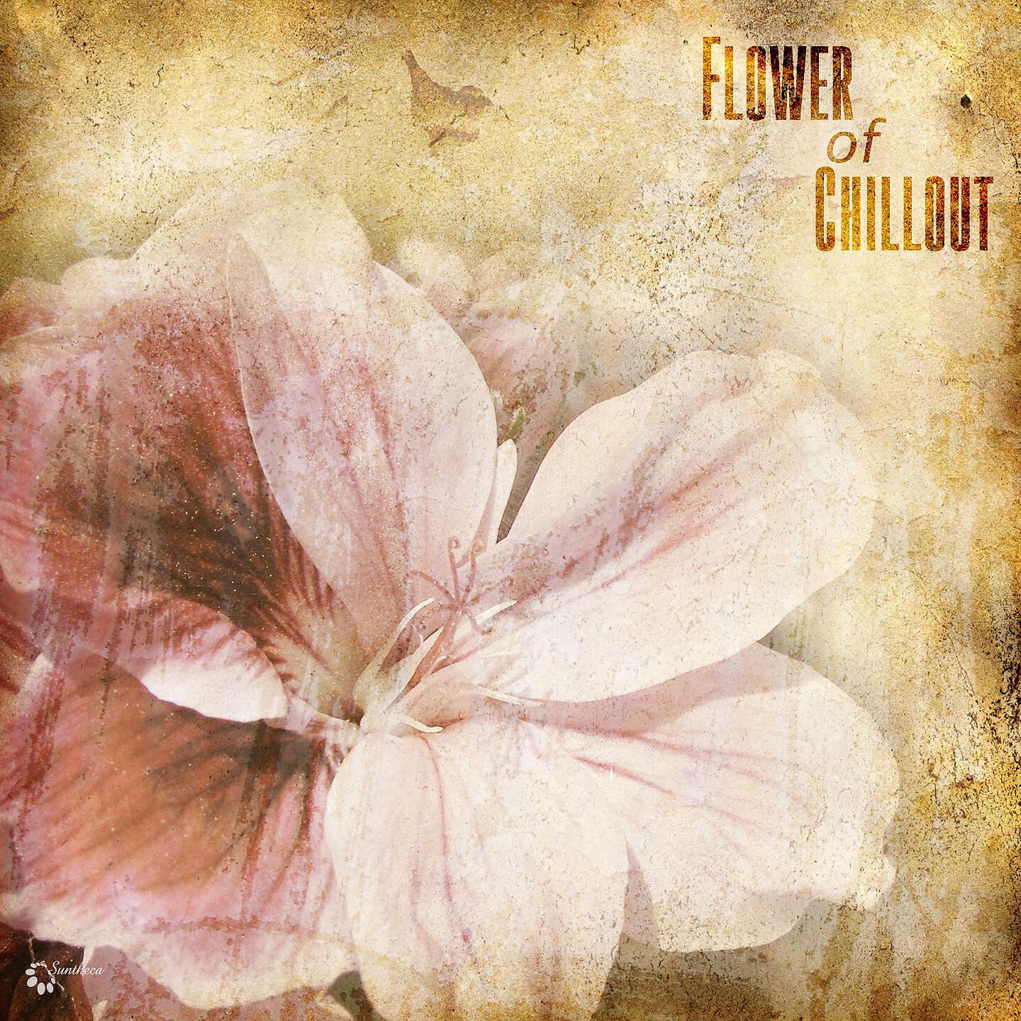 Hic et Nunc - Growing