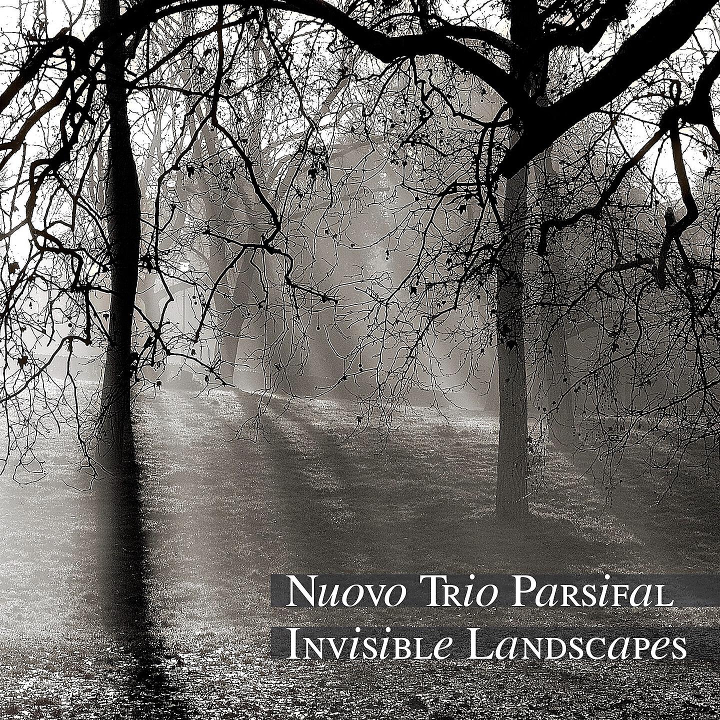 Nuovo Trio Parsifal - Il canto del vento