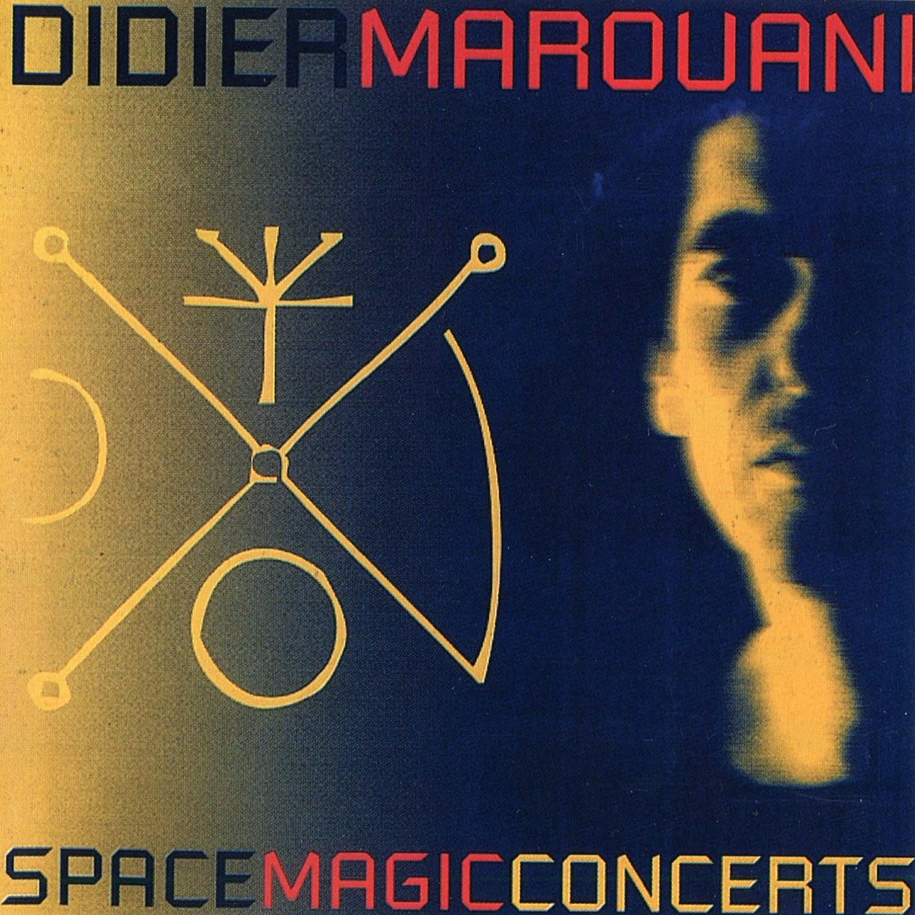 Didier Marouani - Let Me Know the Wonder (Live)