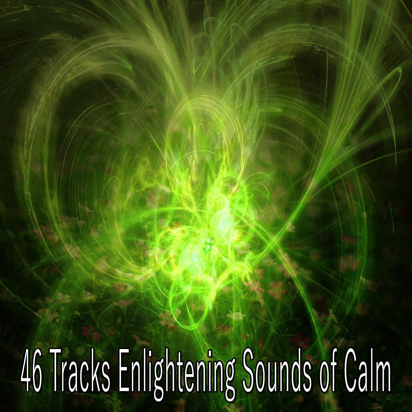 Zen Music Garden - Downpour in the Garden