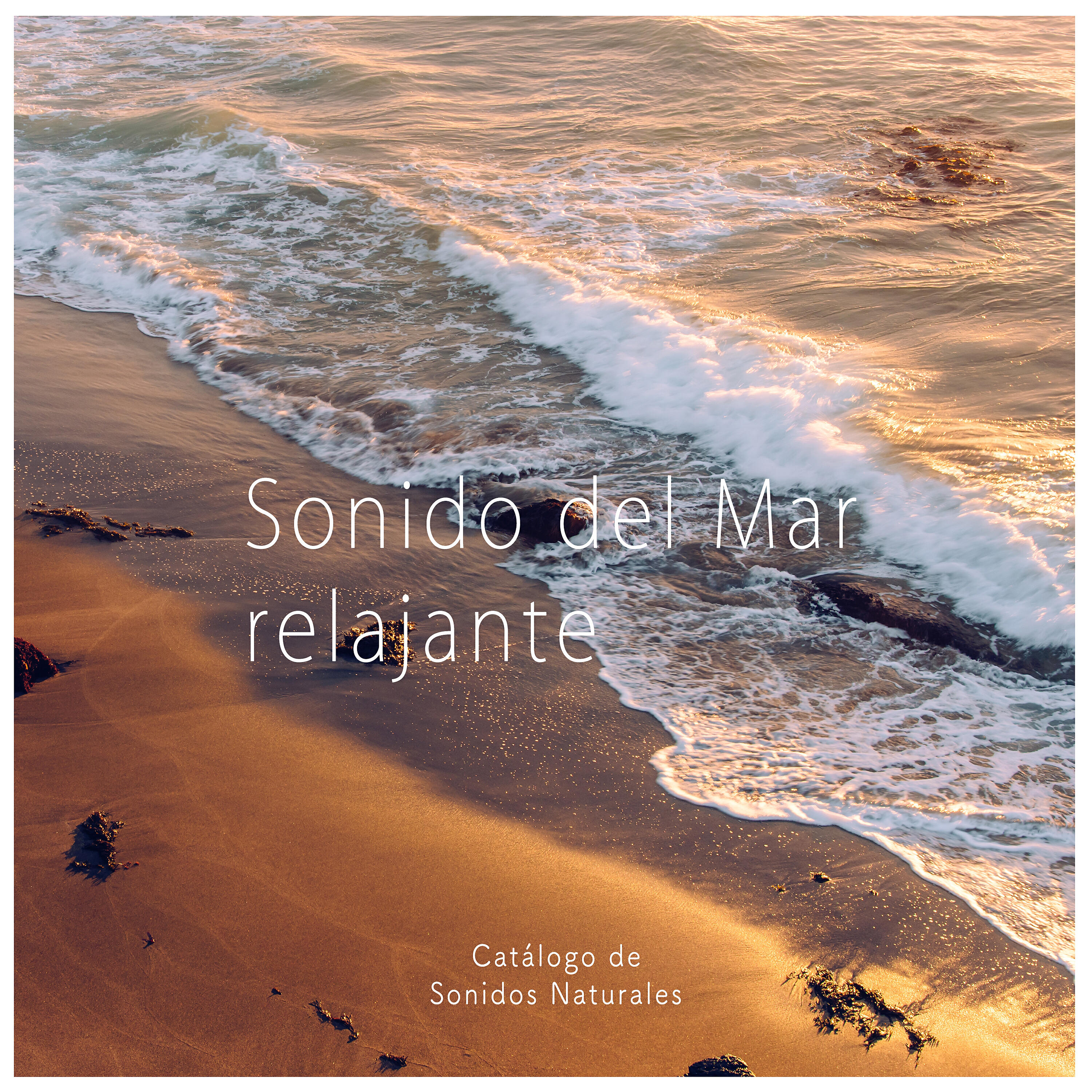 Catálogo de Sonidos Naturales - Ocean Sounds: Waves for Sleep