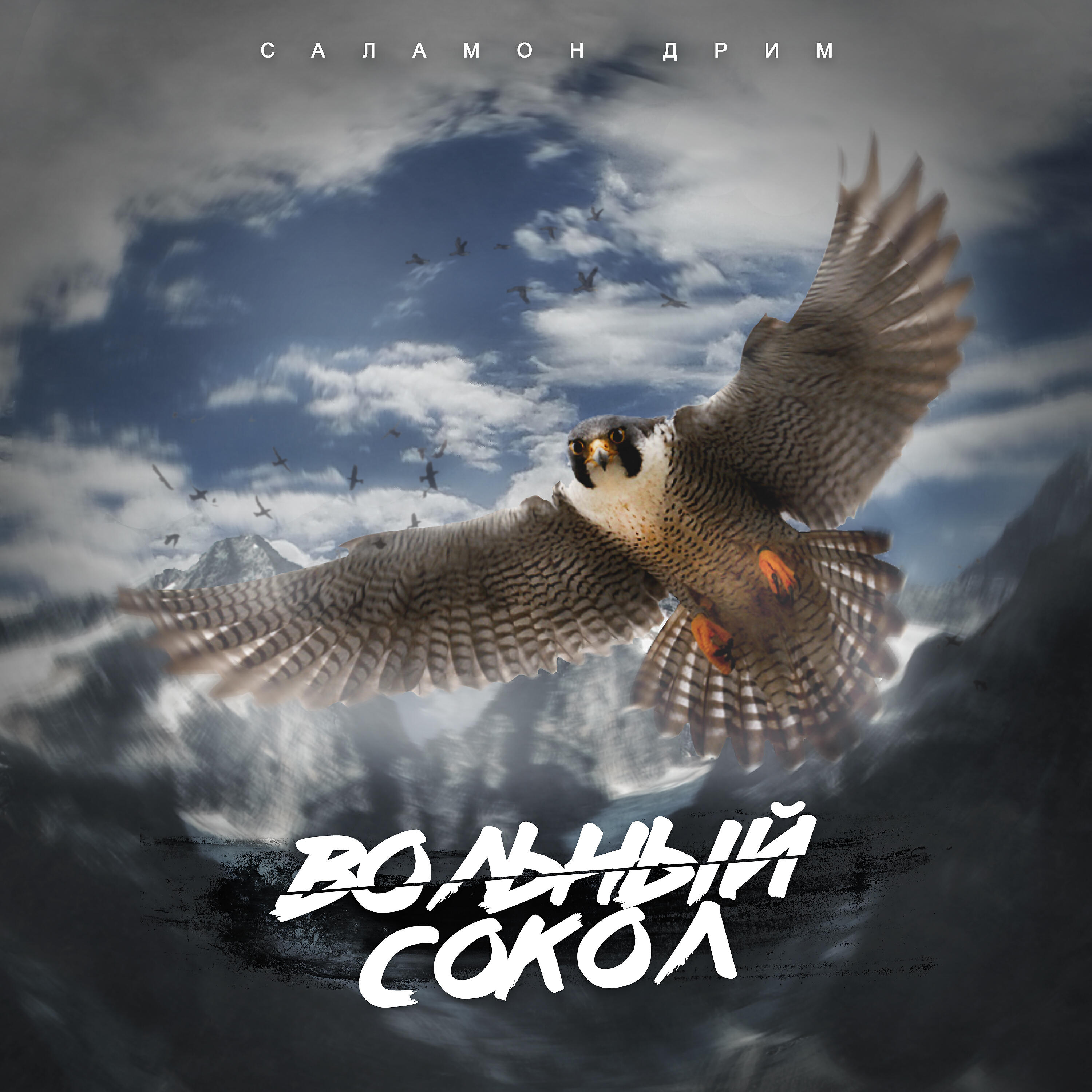 Саламон Дрим - Вольный сокол