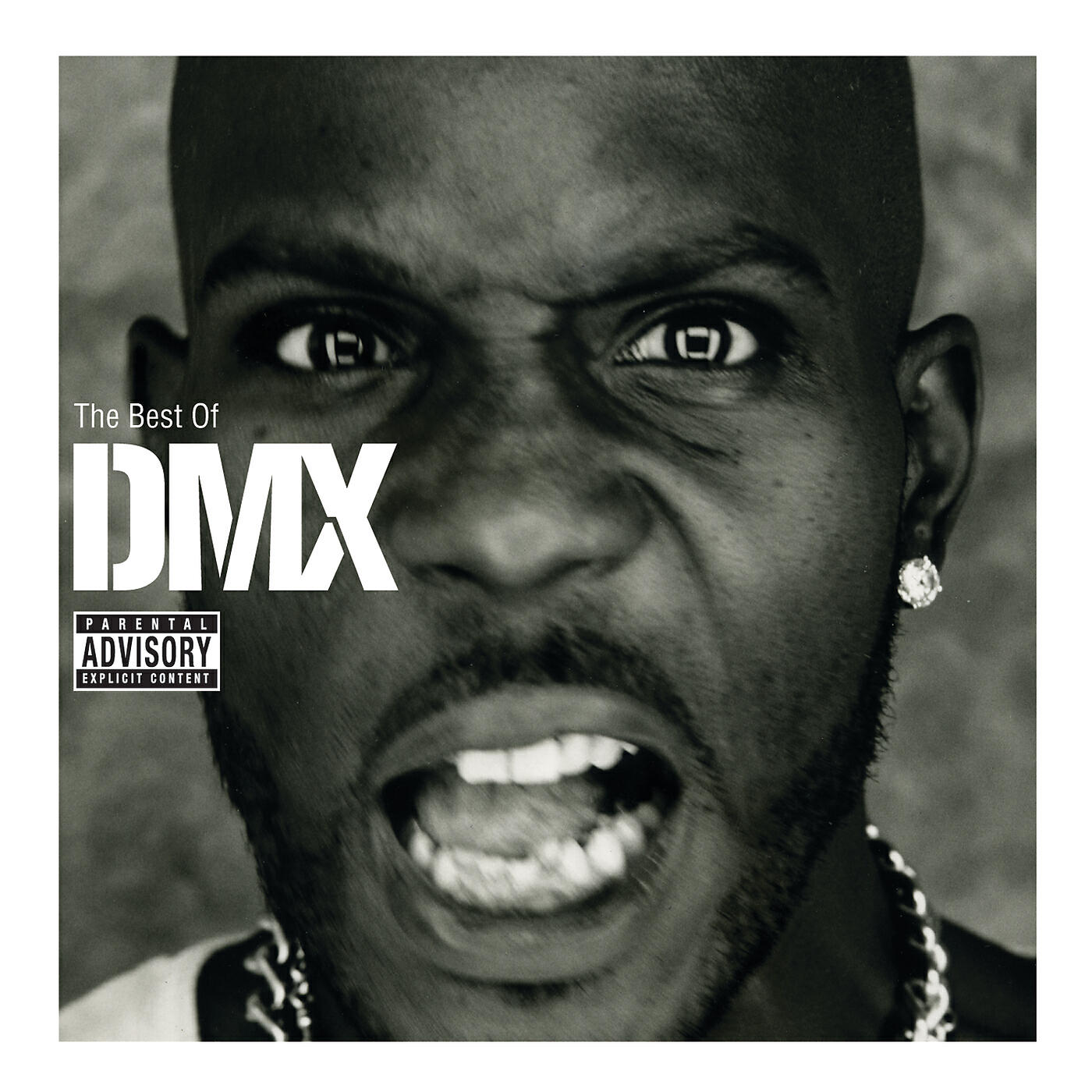 DMX - Slippin'