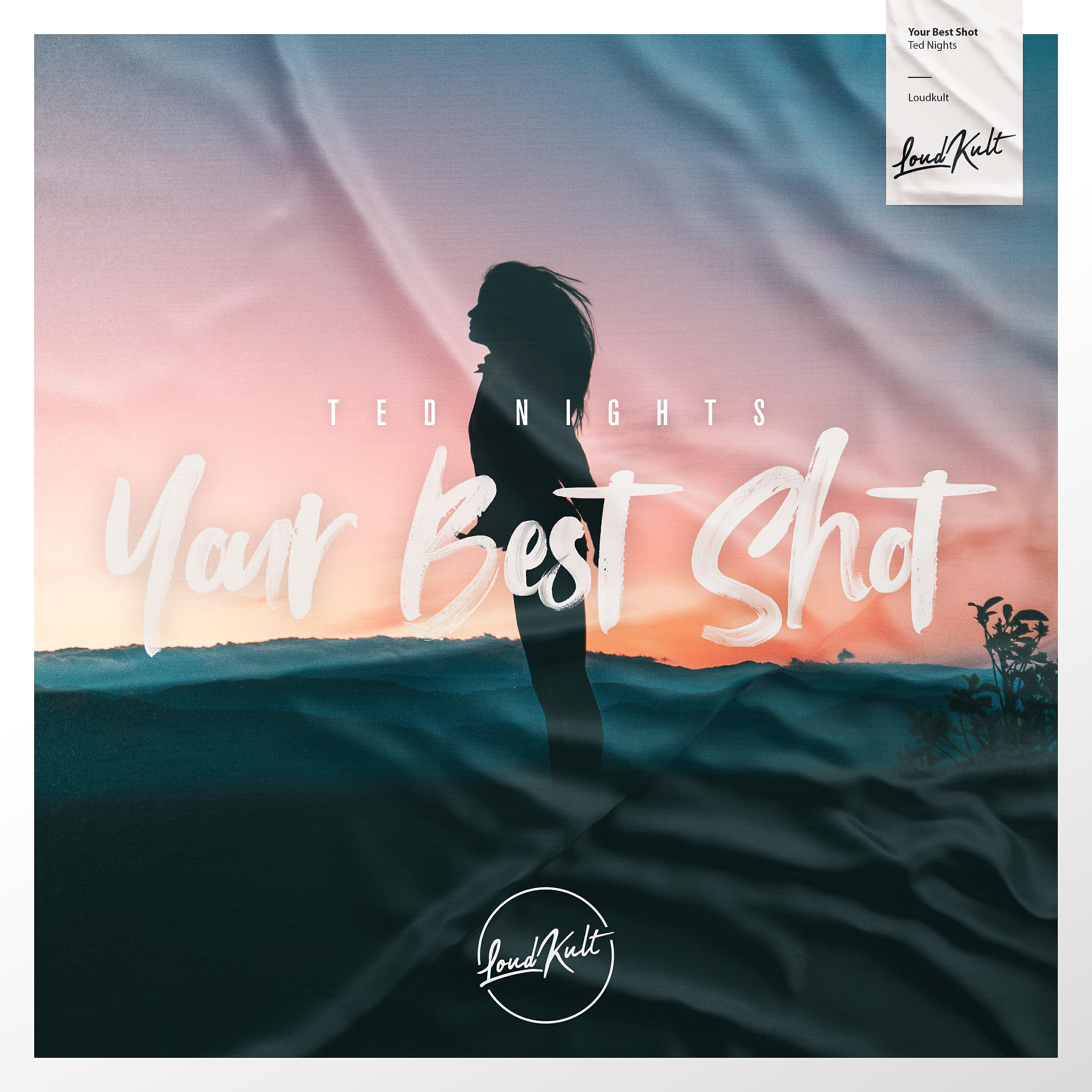 Ted Nights - Your Best Shot