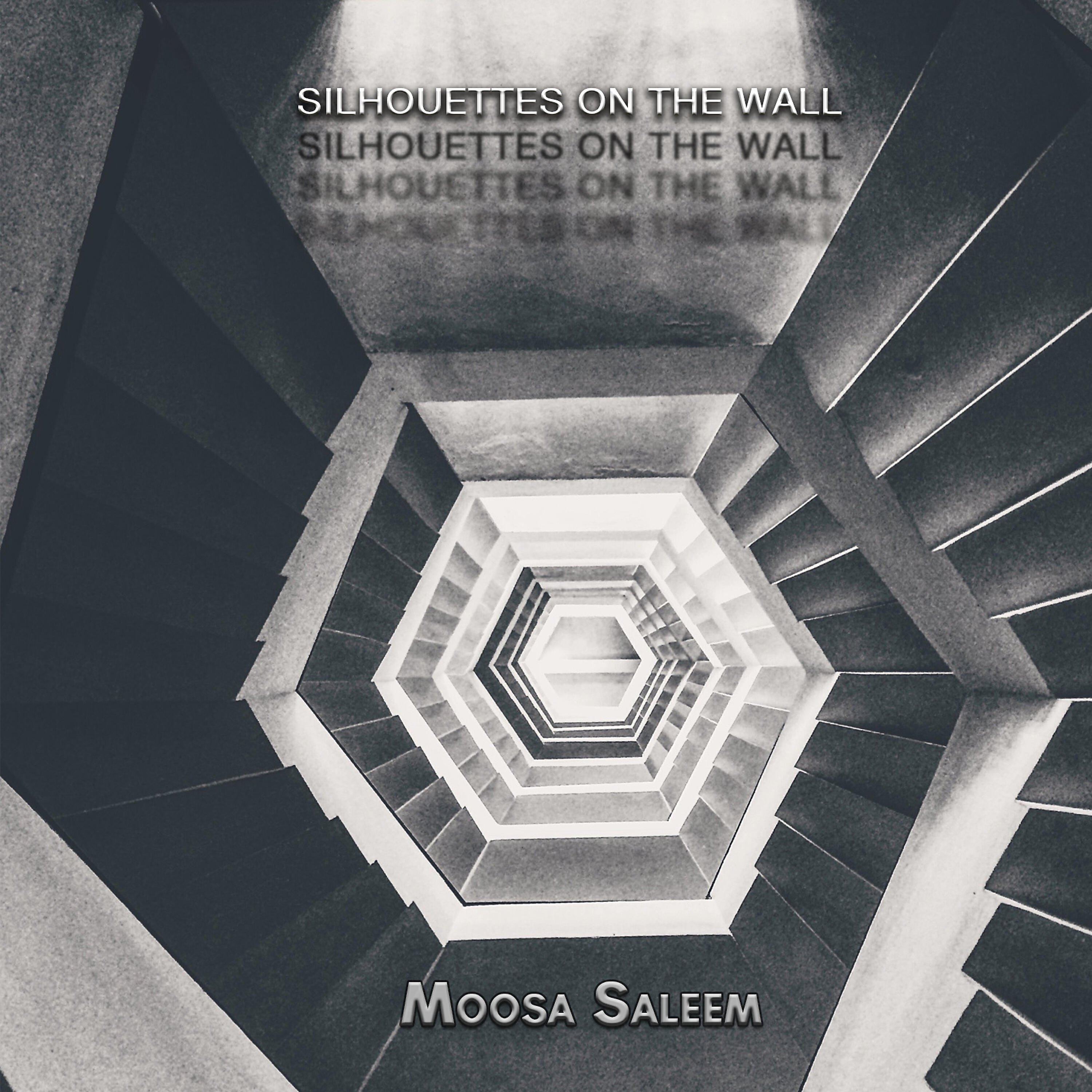 Moosa Saleem - Going Back Home