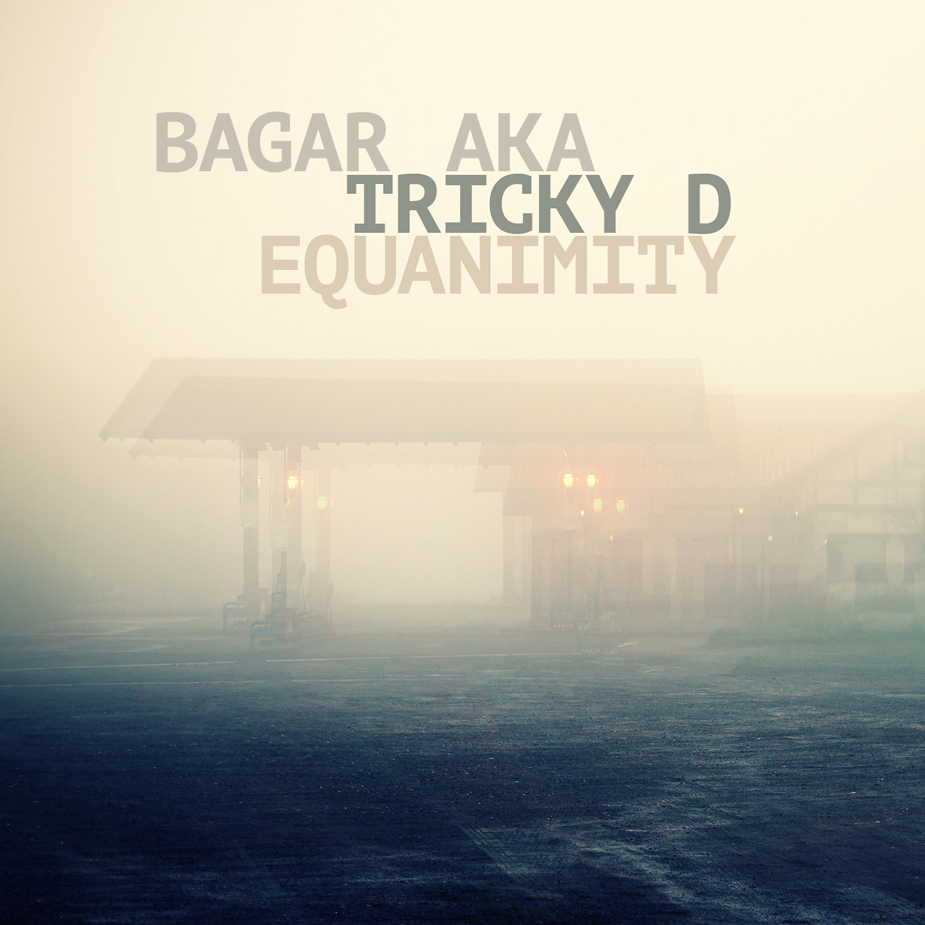Bagar aka Tricky D - Fight You with the Love
