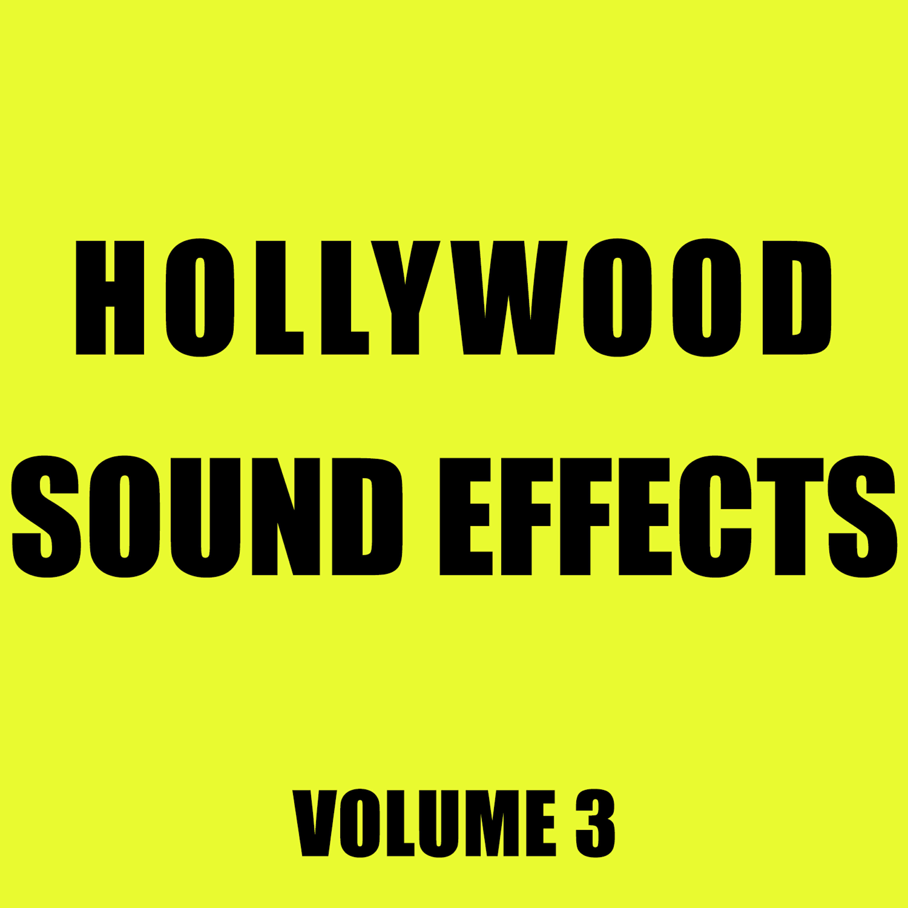 Hollywood Sound Effects Library - Bell Trailing