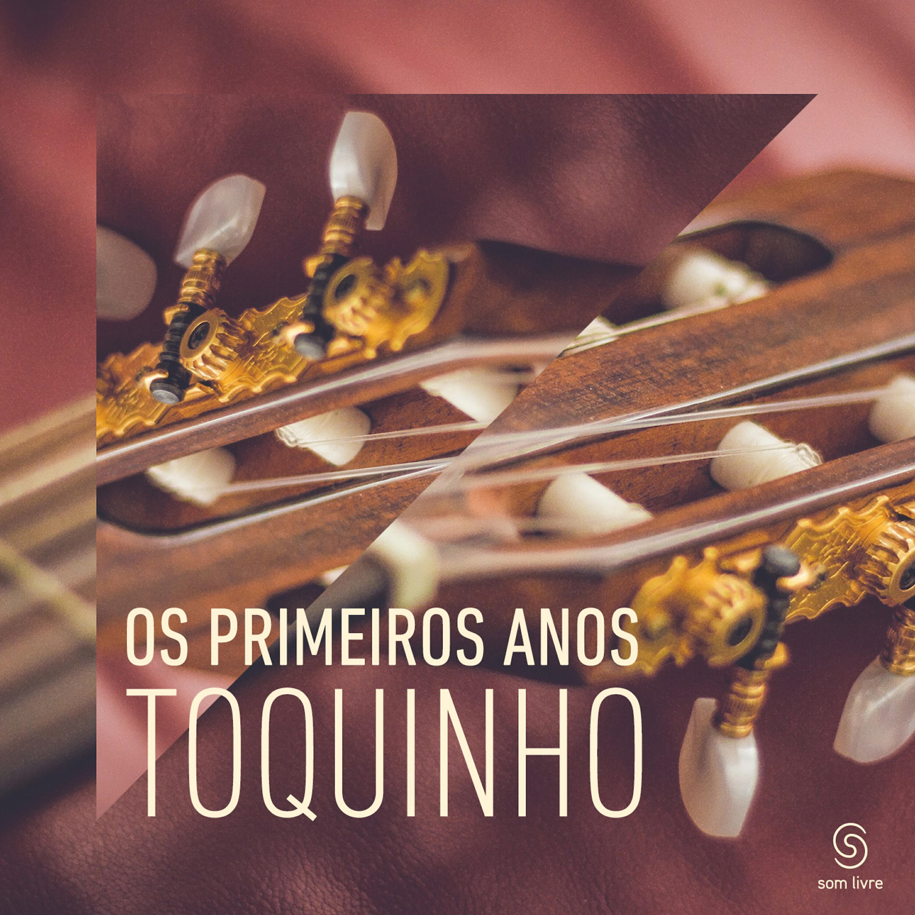 Toquinho - Antes e Depois
