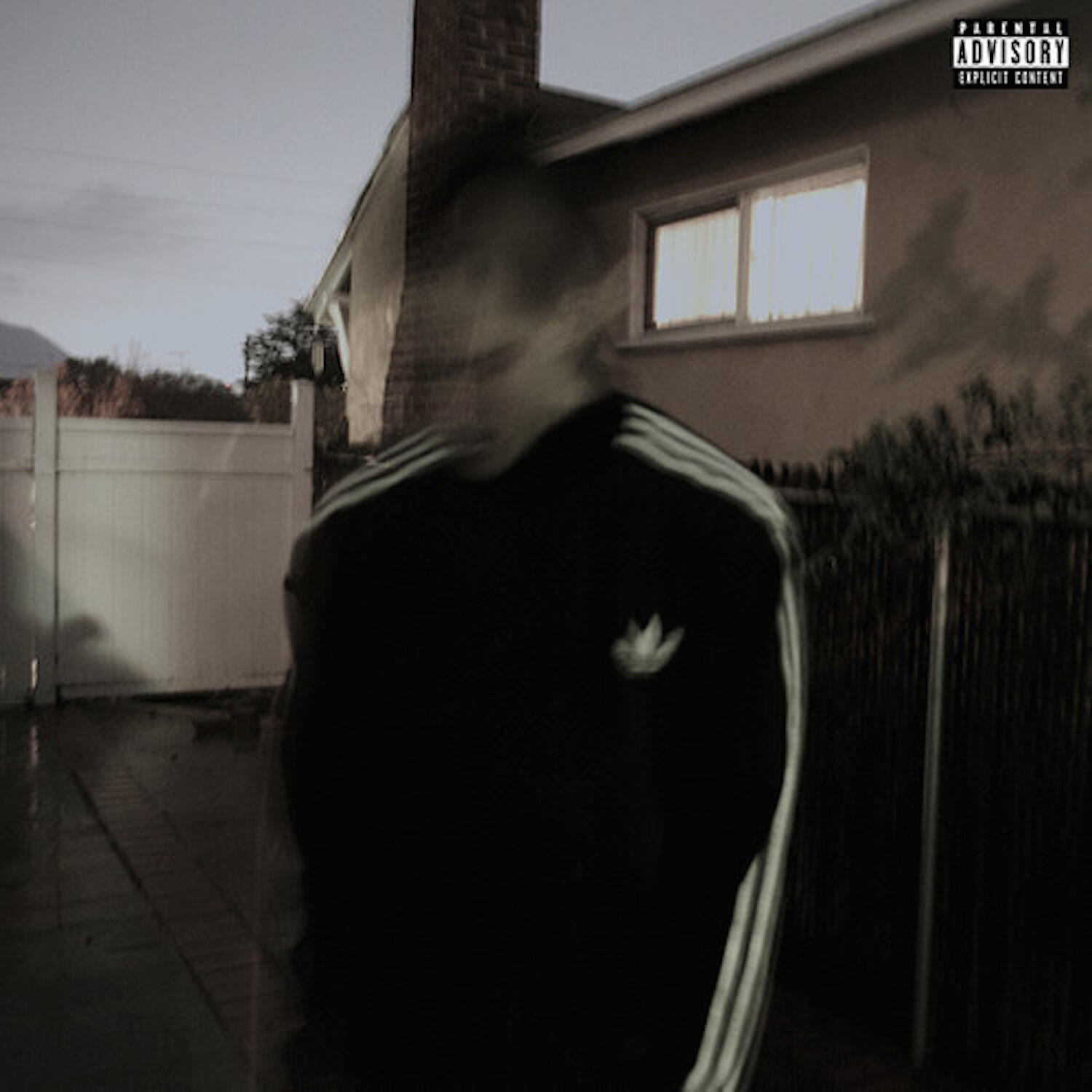 BONES - Protein