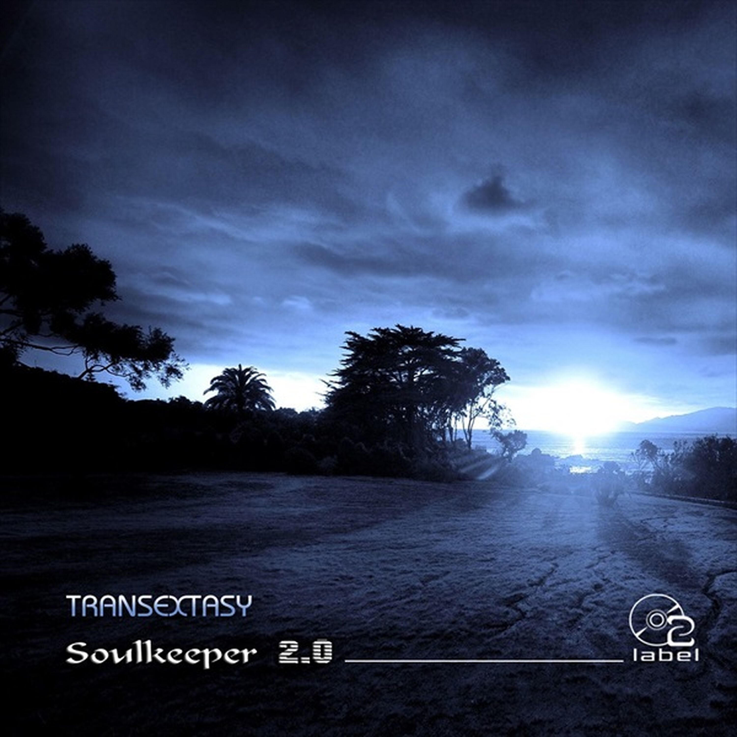 Transexstasy - Artifact