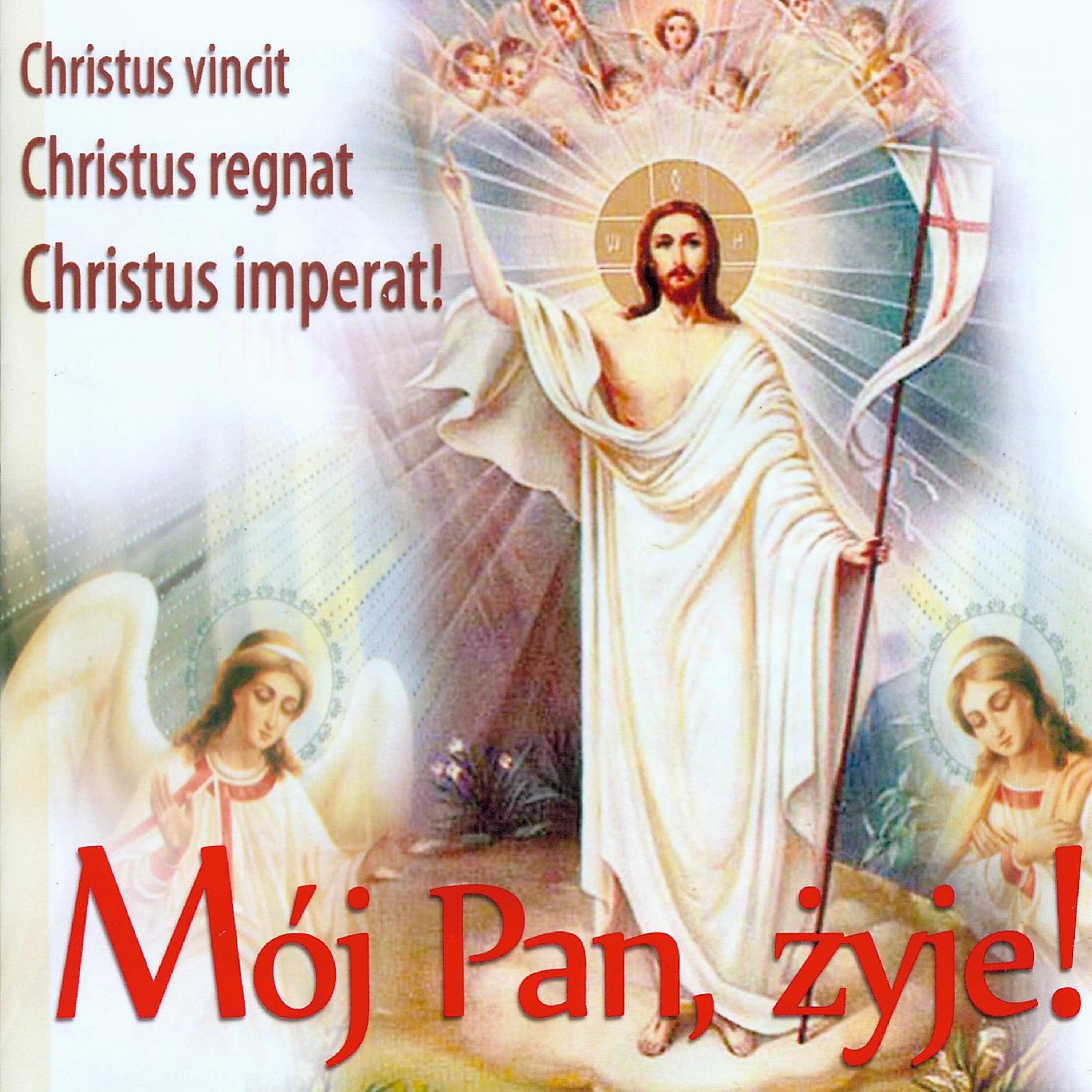 ks. Robert Żwirek - Ty Wskazales Droge Do Milosci