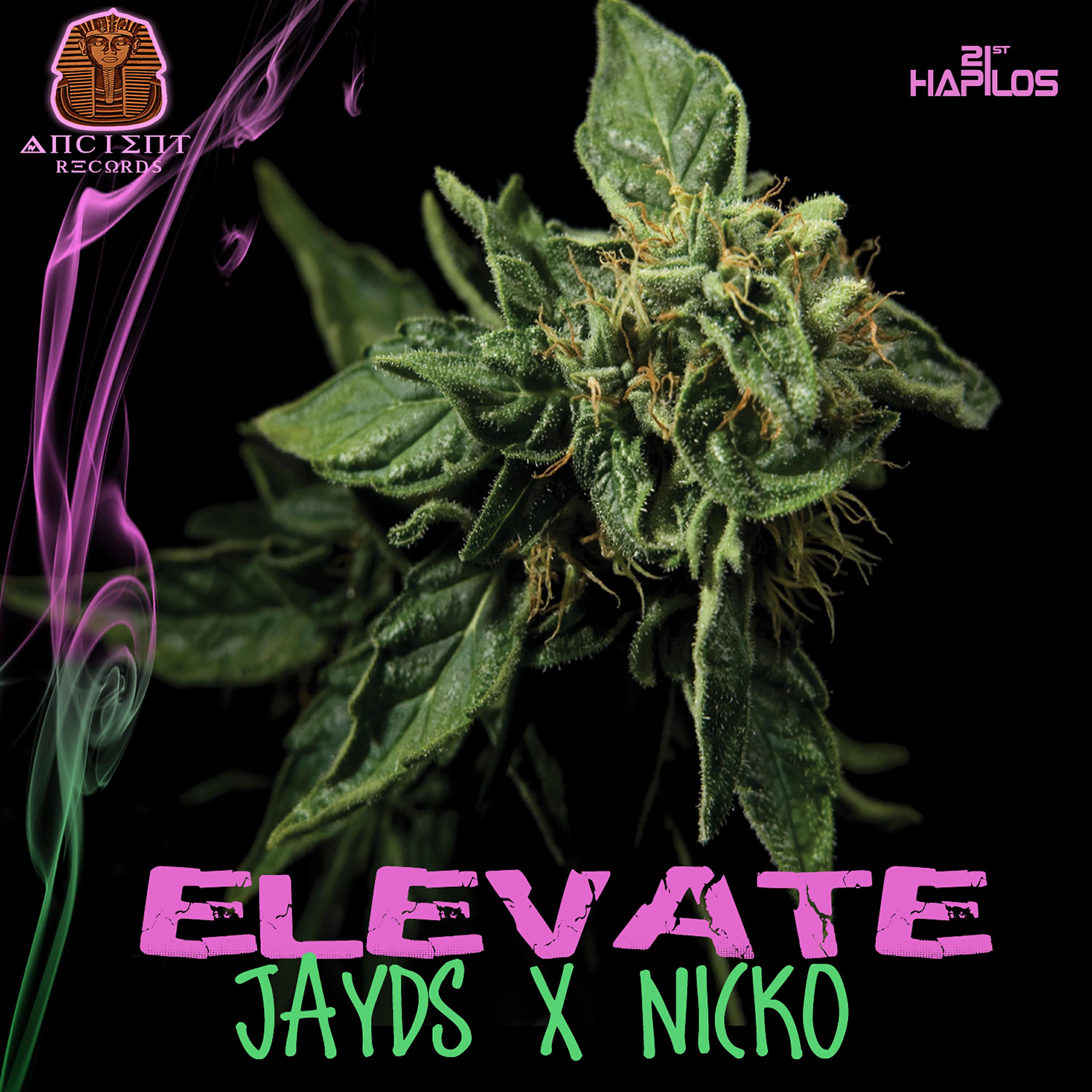 Jayds - Elevate Riddim (Instrumental)