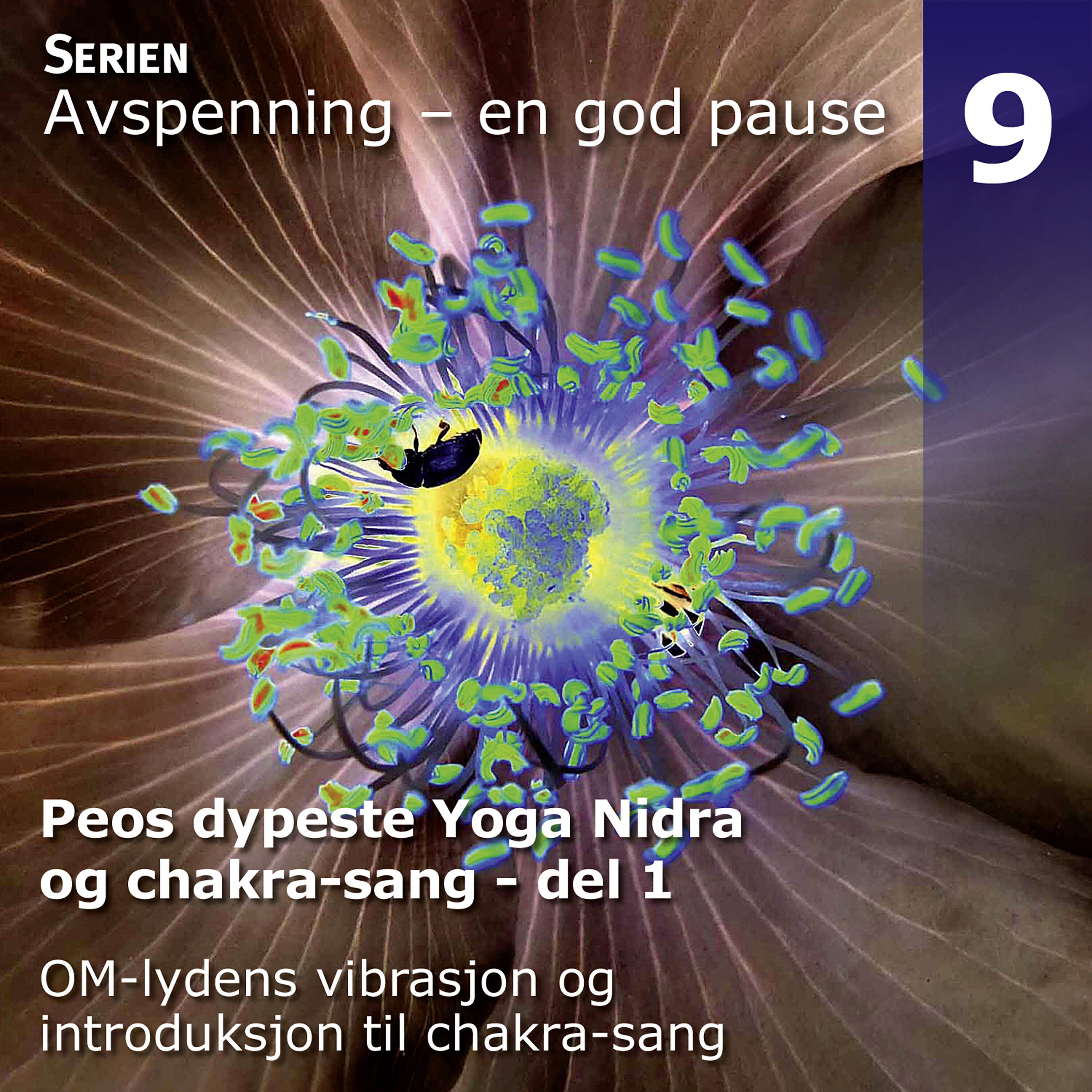 PEO - Introduksjon Til Album IX-X