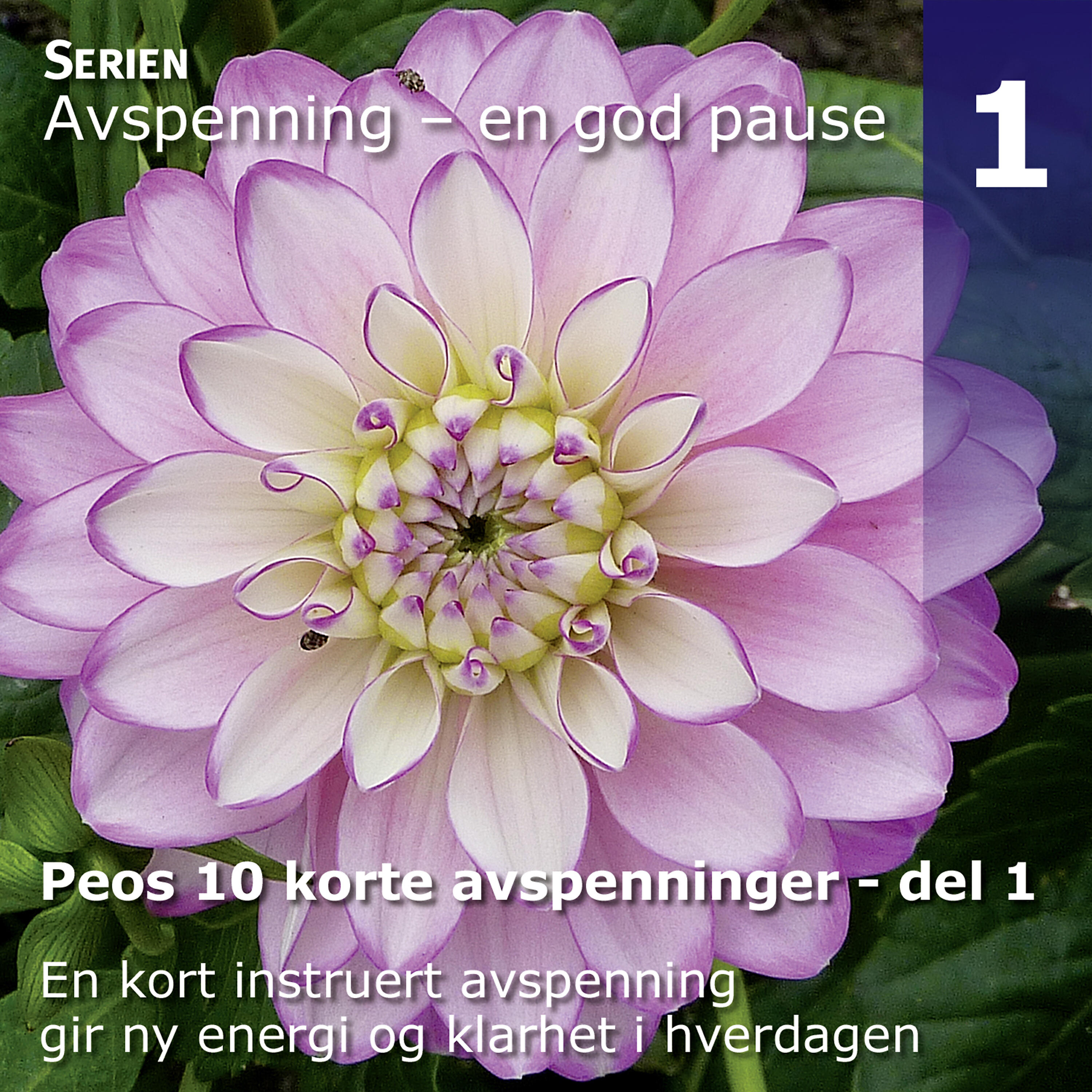 PEO - Pusten Og Sinnet