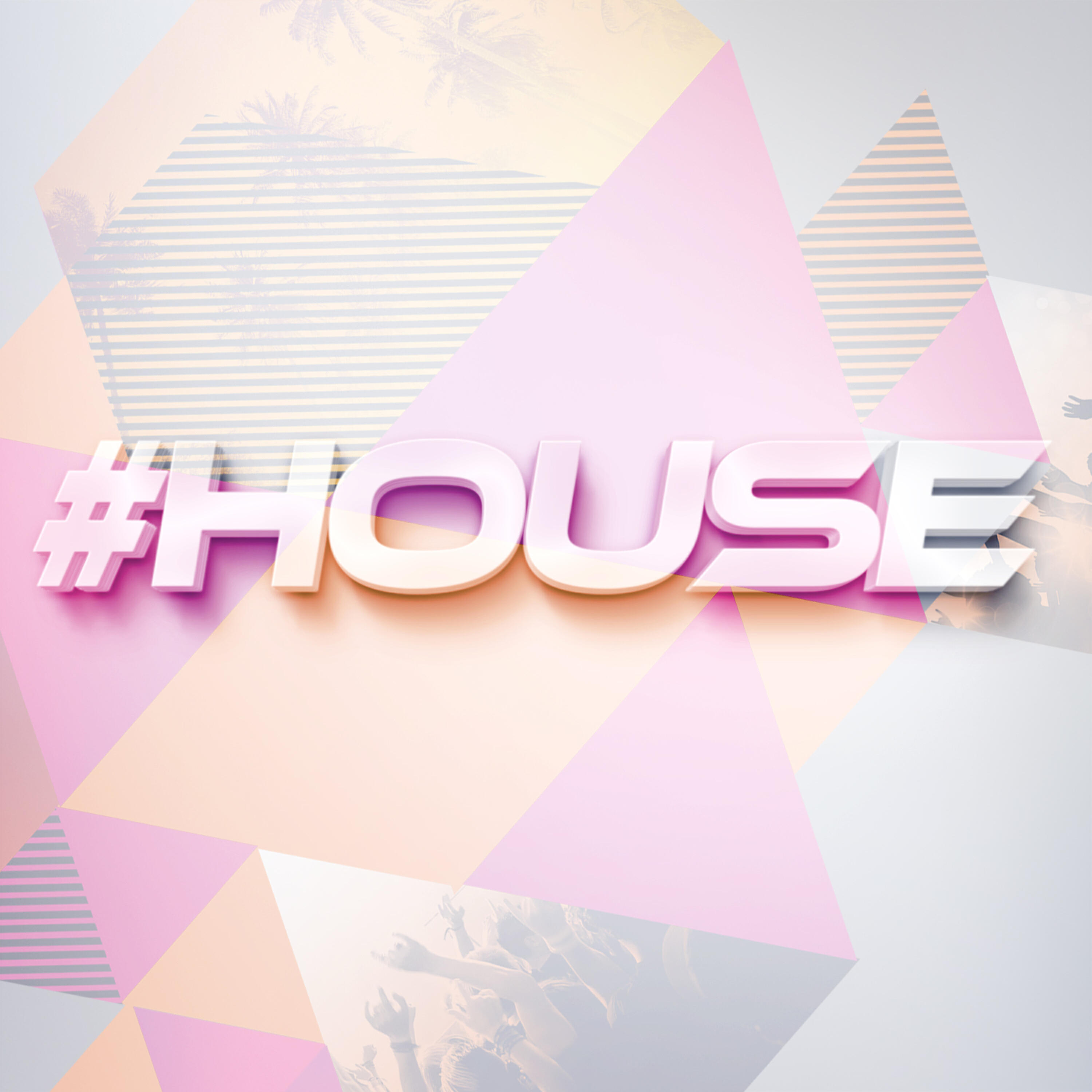 House - Lizard