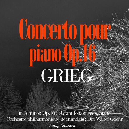 Orchestre philharmonique néerlandais - Piano Concerto In a Minor, Op.16 : I. Allegro Molto Moderato
